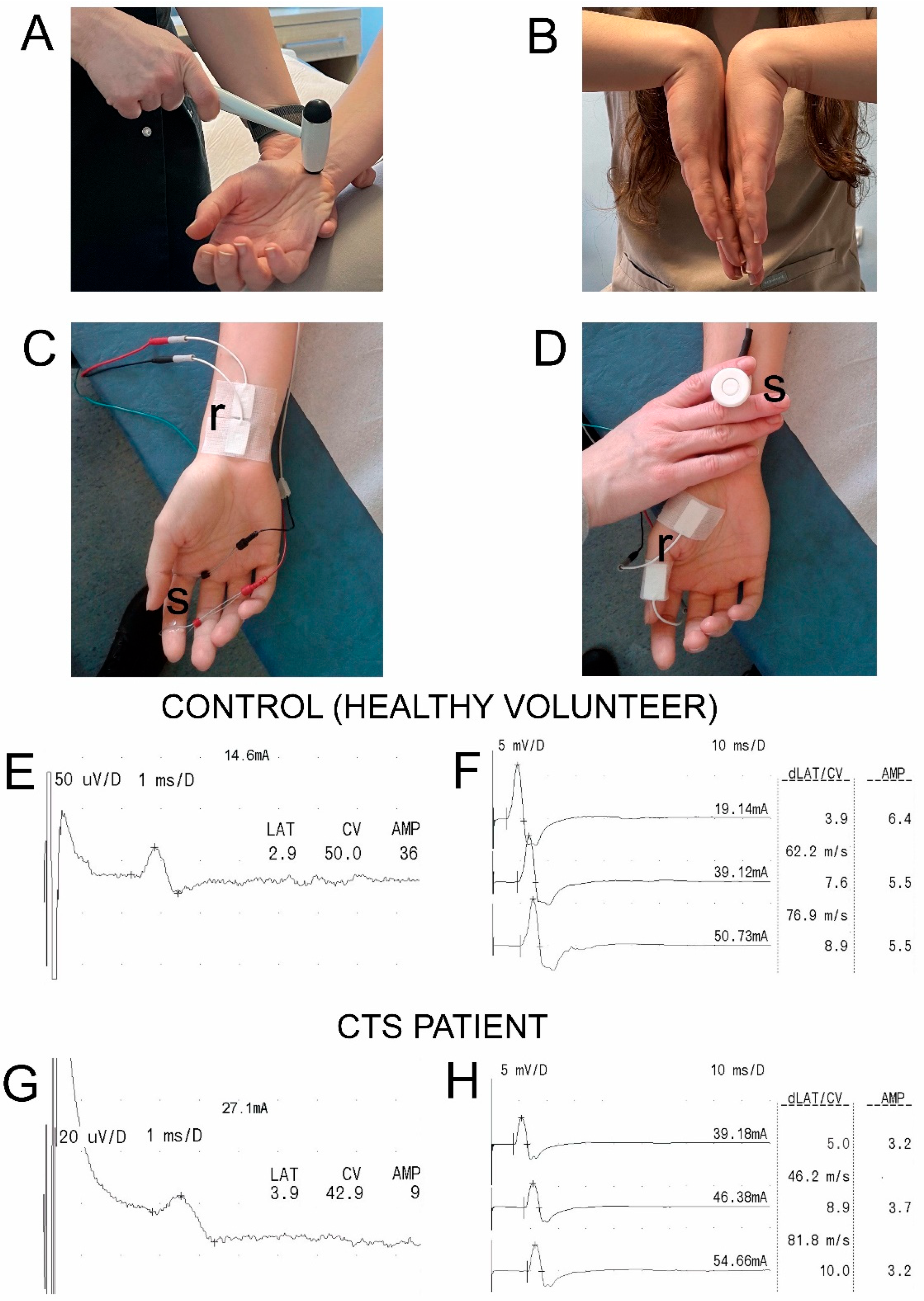 Neurosci 06 00094 g001