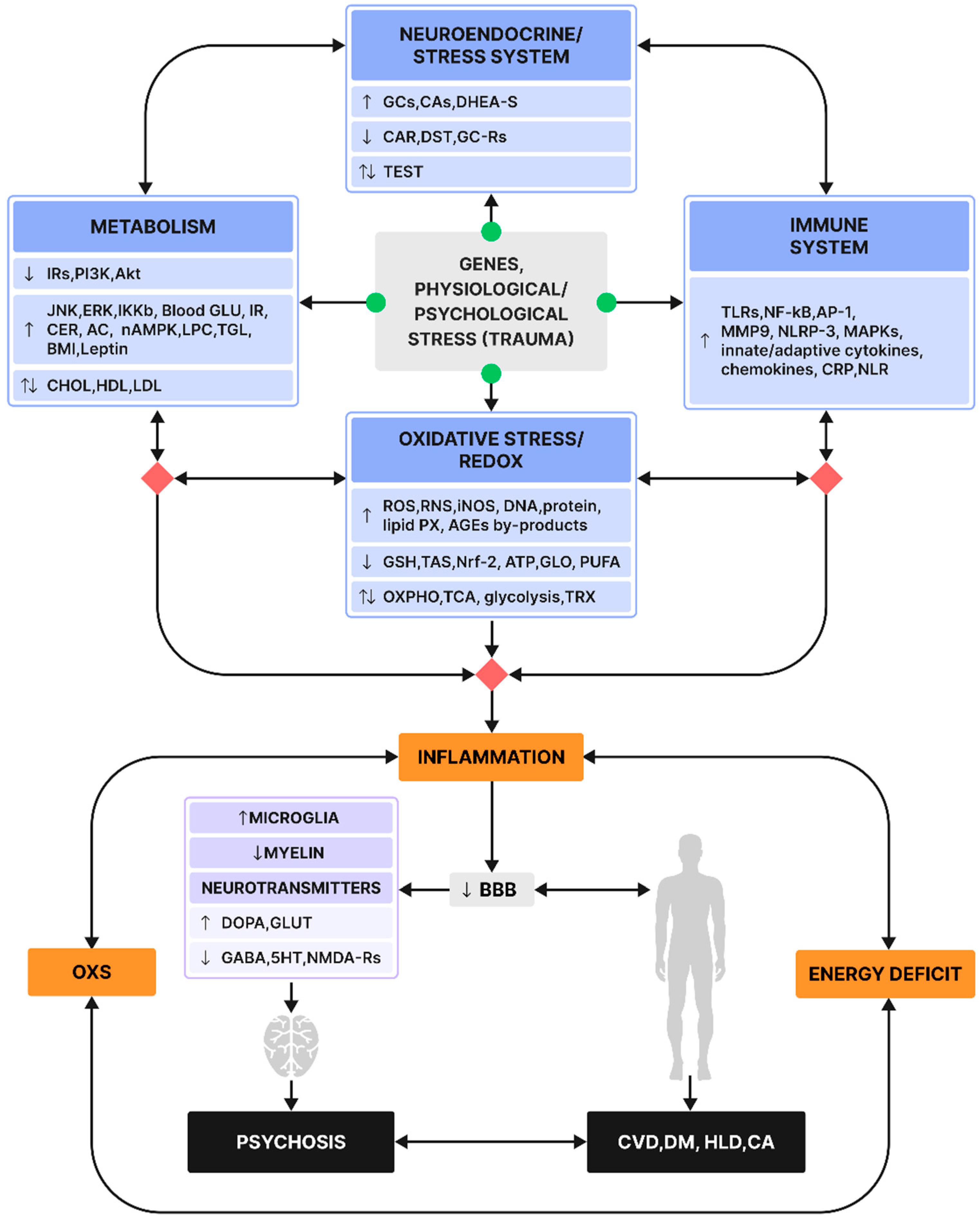 Neurosci 06 00099 g001