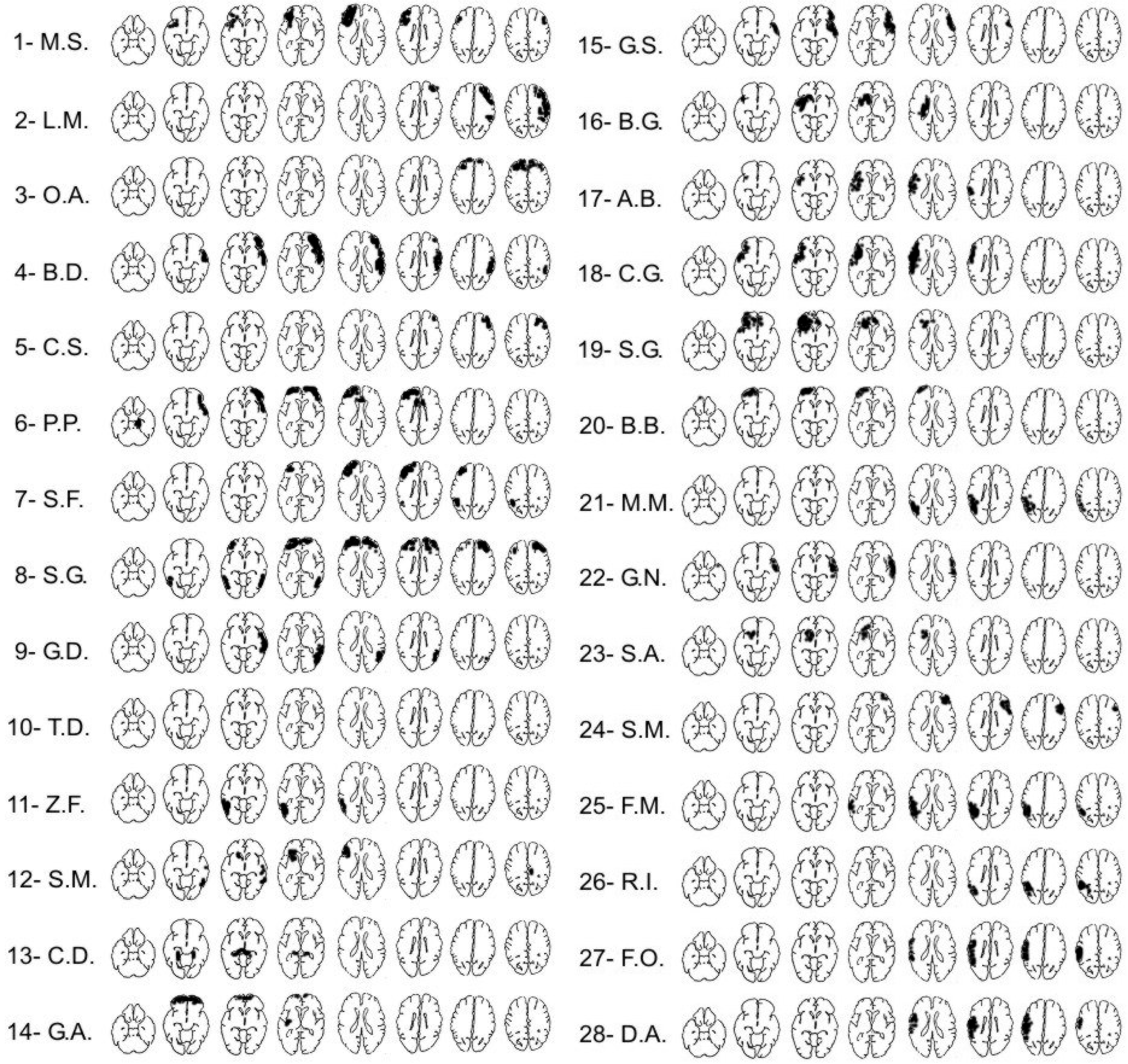 Neurosci 06 00105 g001