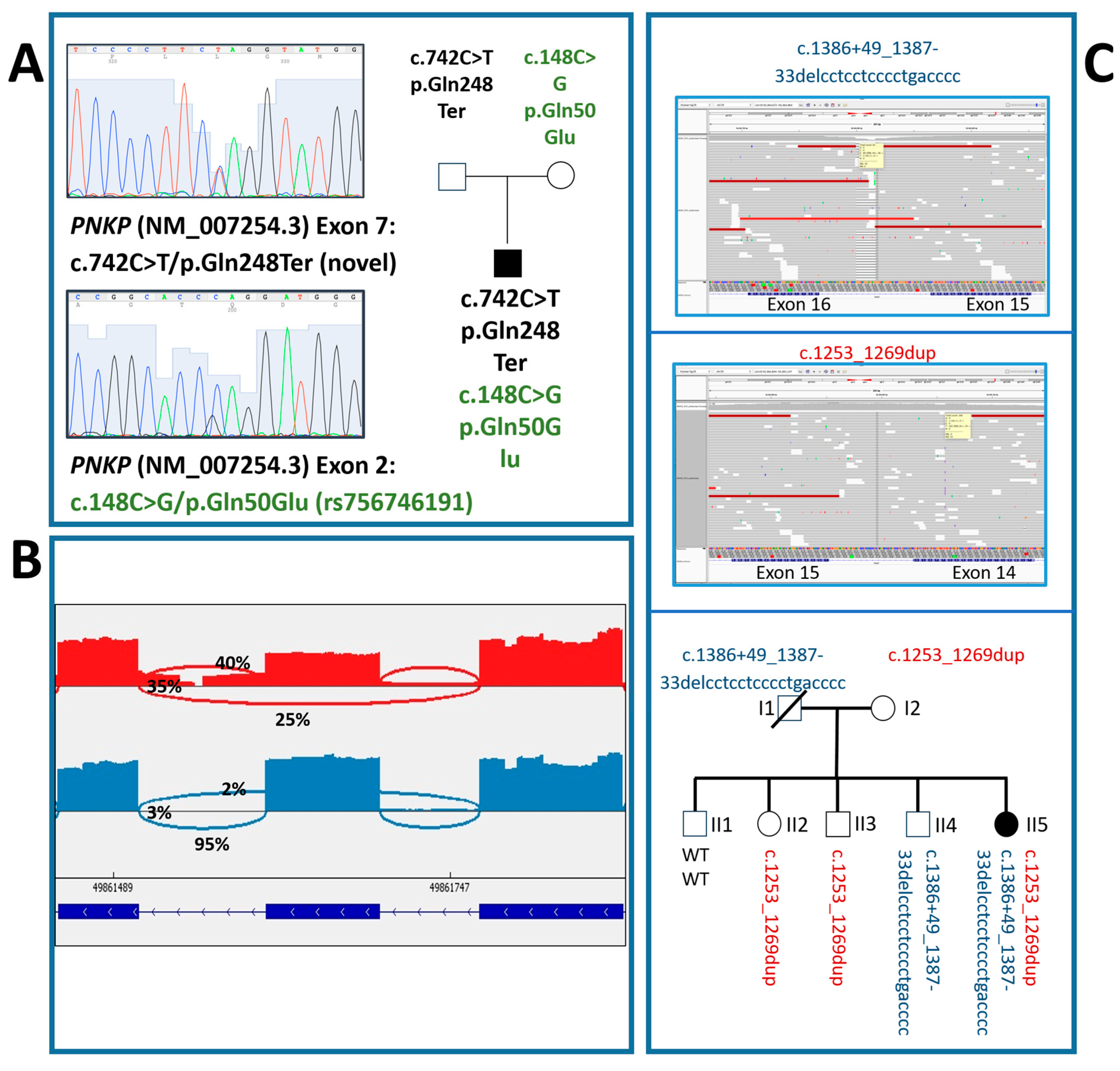 Neurosci 06 00110 g002 Neurosci 06 00110 g002