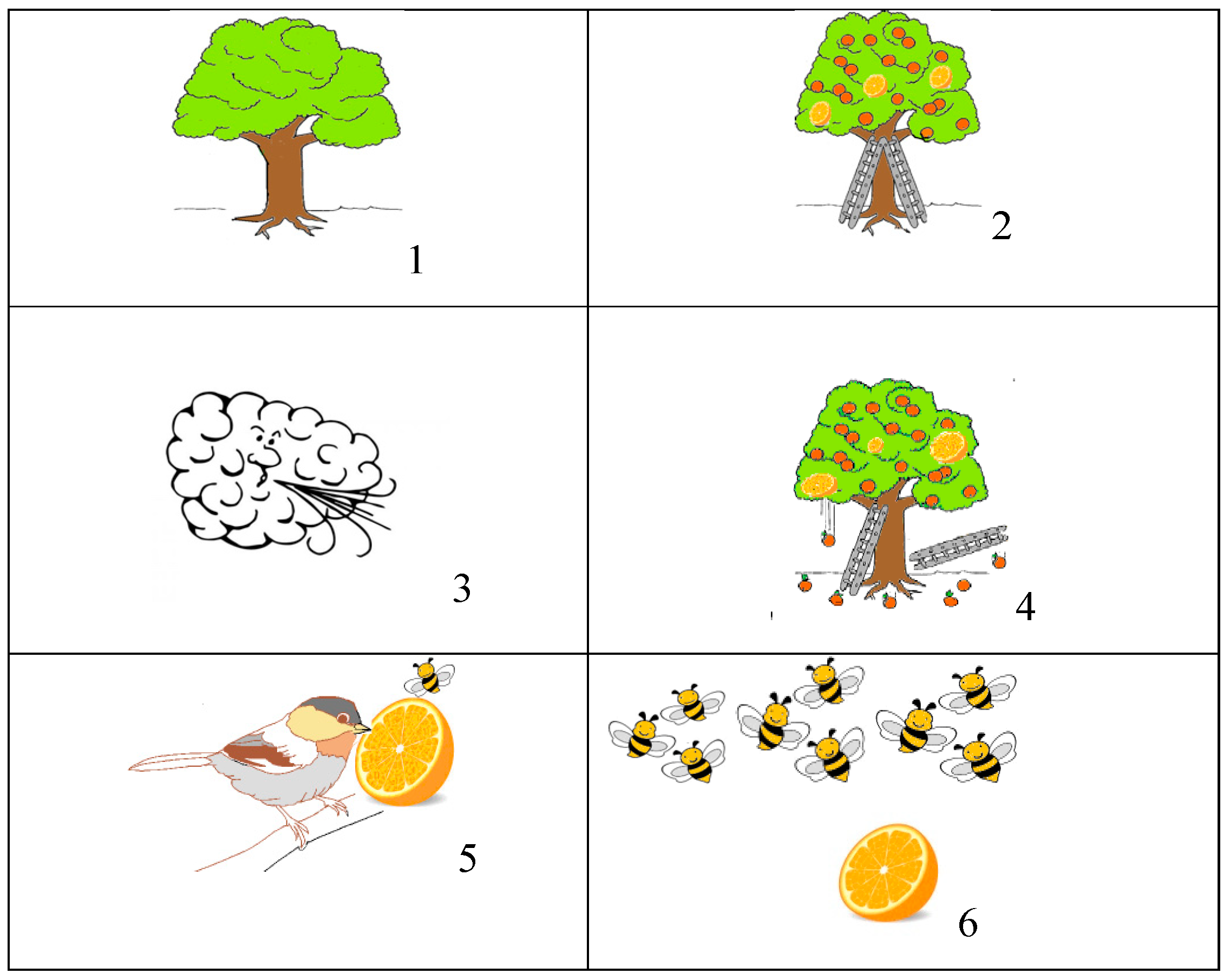 Neurosci 06 00112 g001