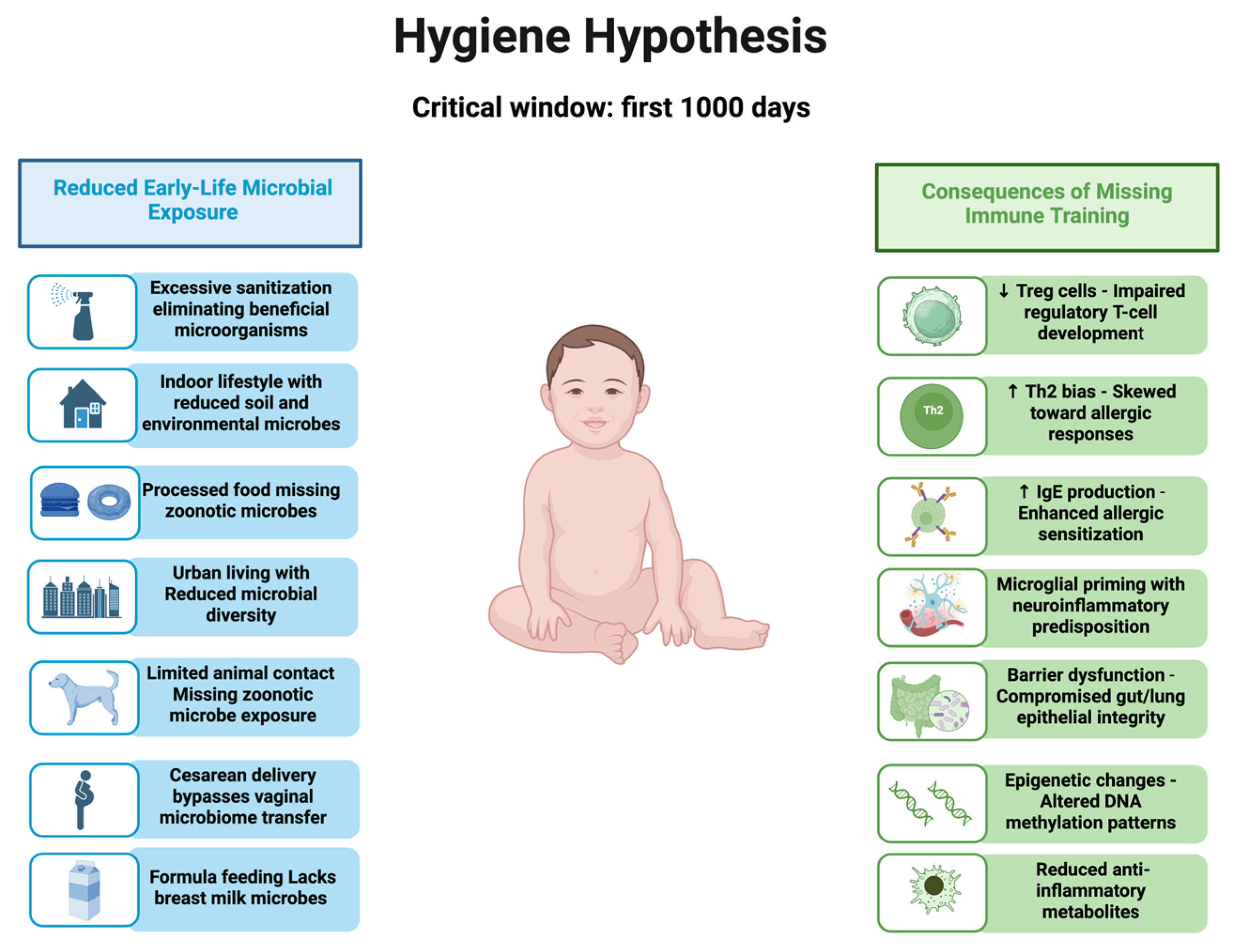 Neurosci 06 00118 g001