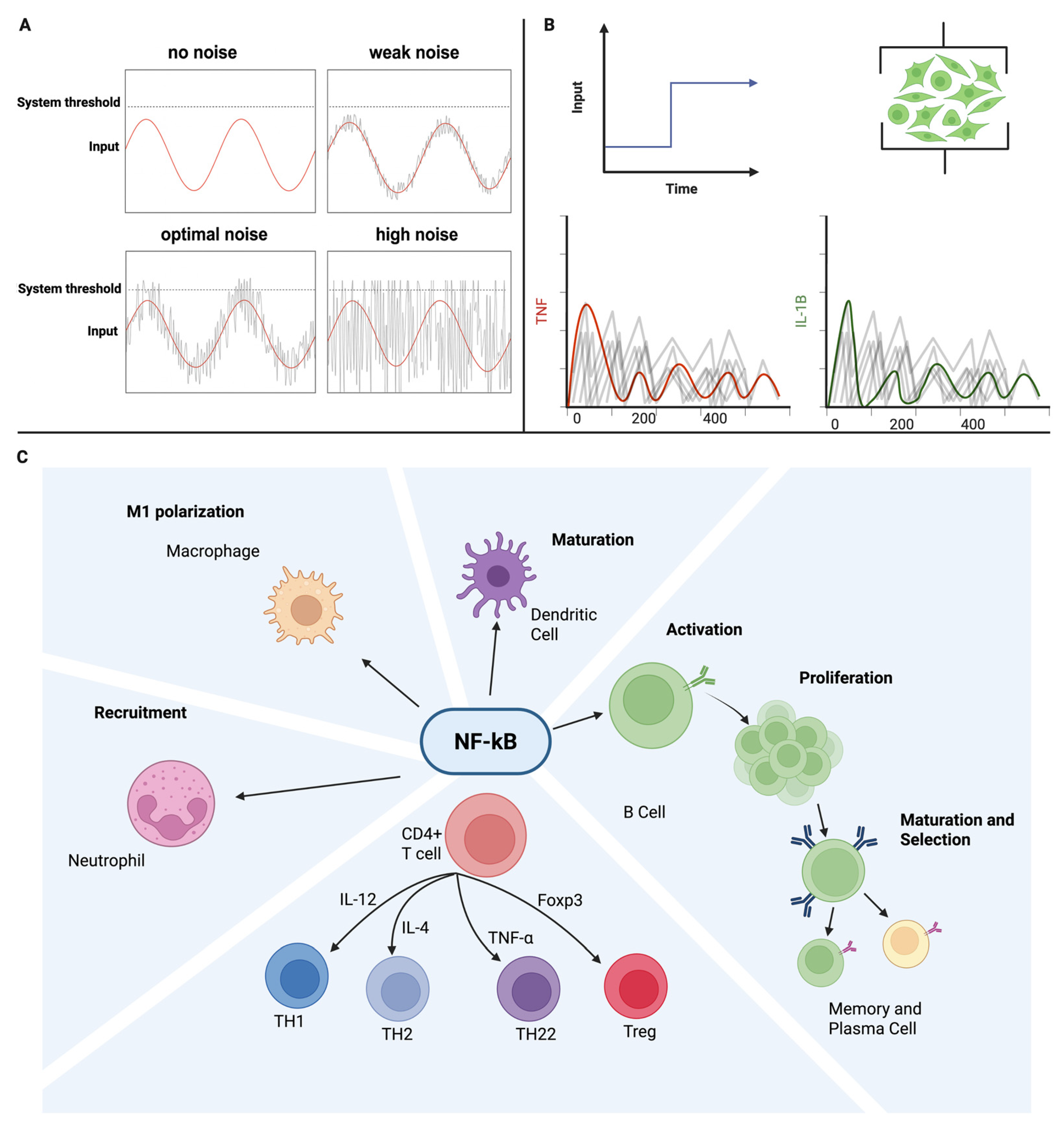 Neurosci 06 00118 g002