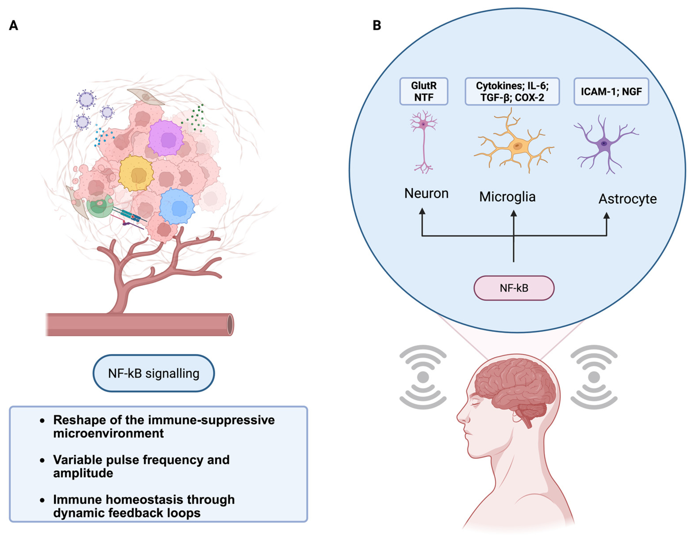Neurosci 06 00118 g003
