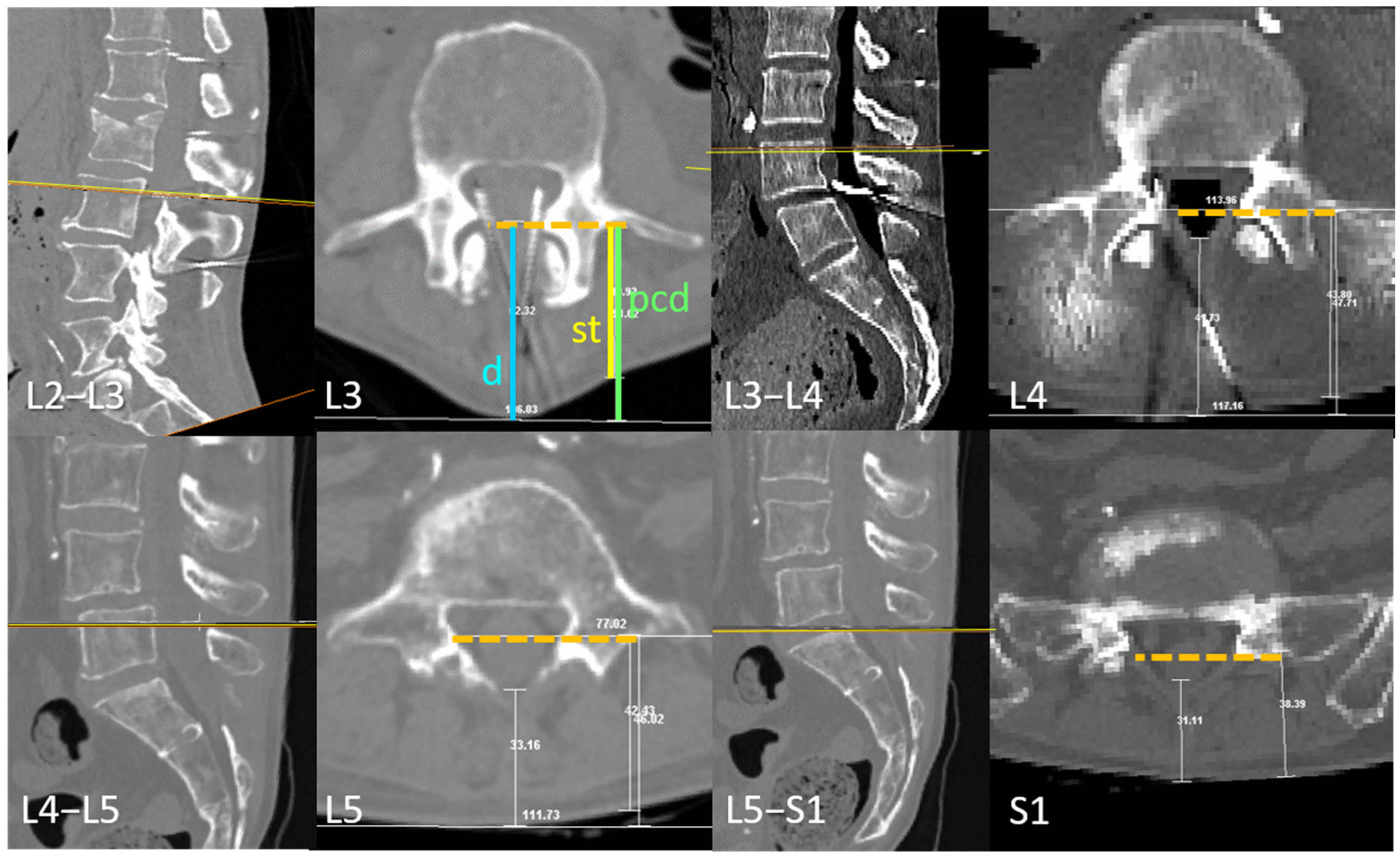 Neurosci 06 00119 g002 Neurosci 06 00119 g002