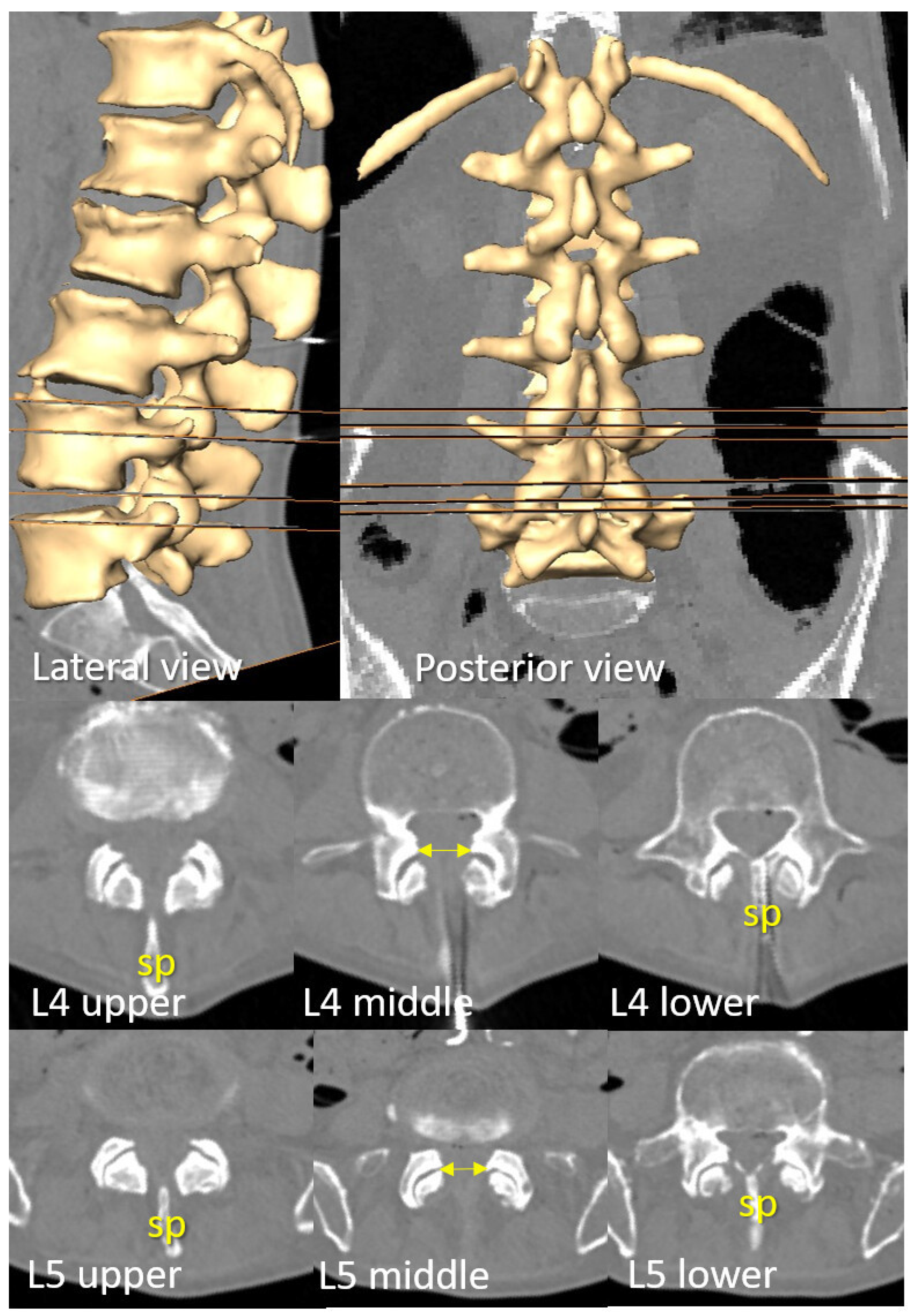 Neurosci 06 00119 g003 Neurosci 06 00119 g003