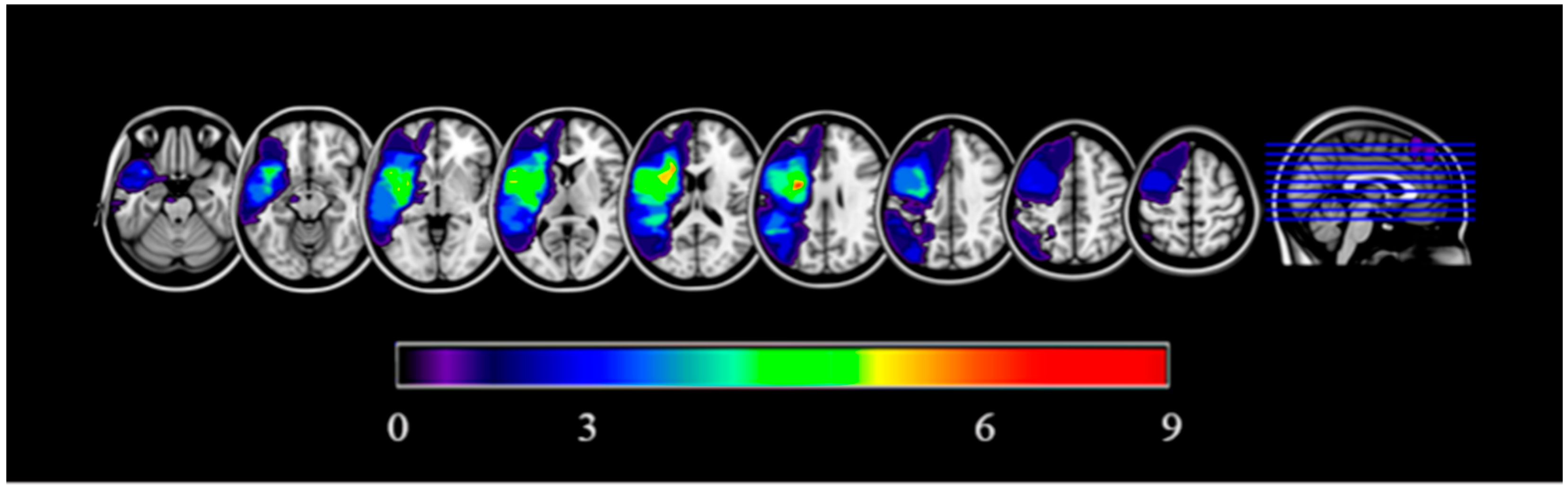 Neurosci 06 00122 g001