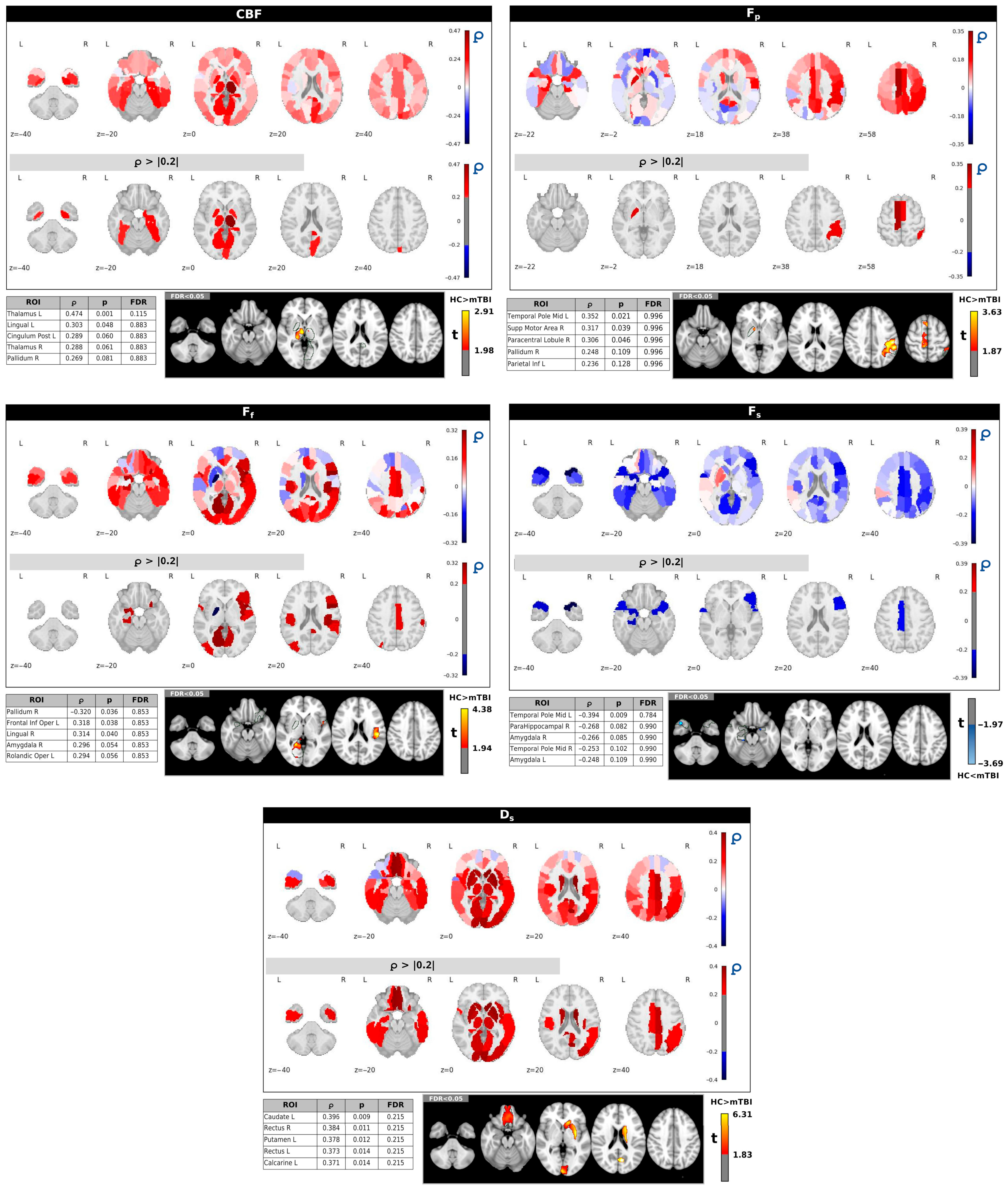 Neurosci 06 00123 g004