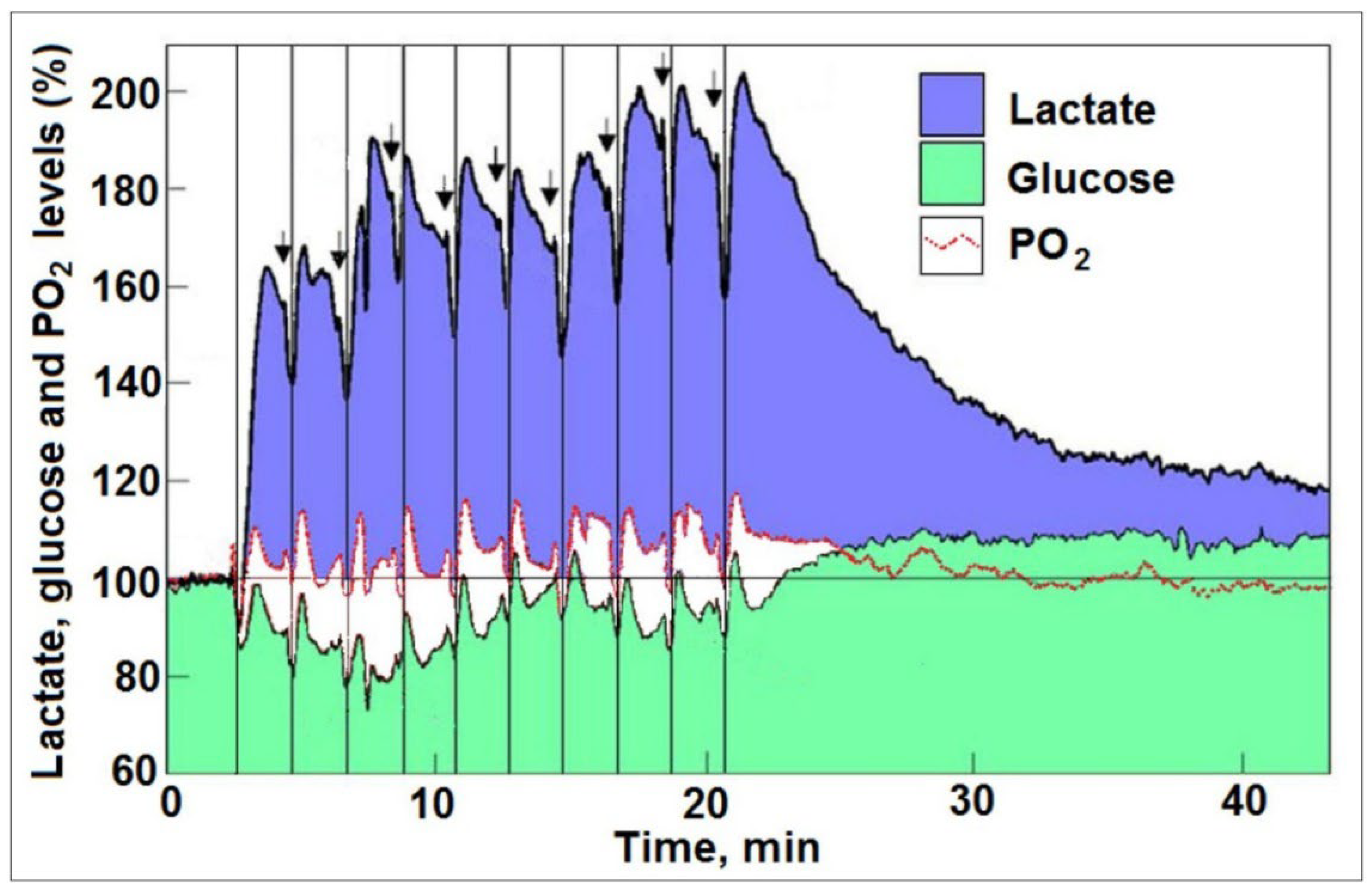 Neurosci 06 00126 g001 Neurosci 06 00126 g001