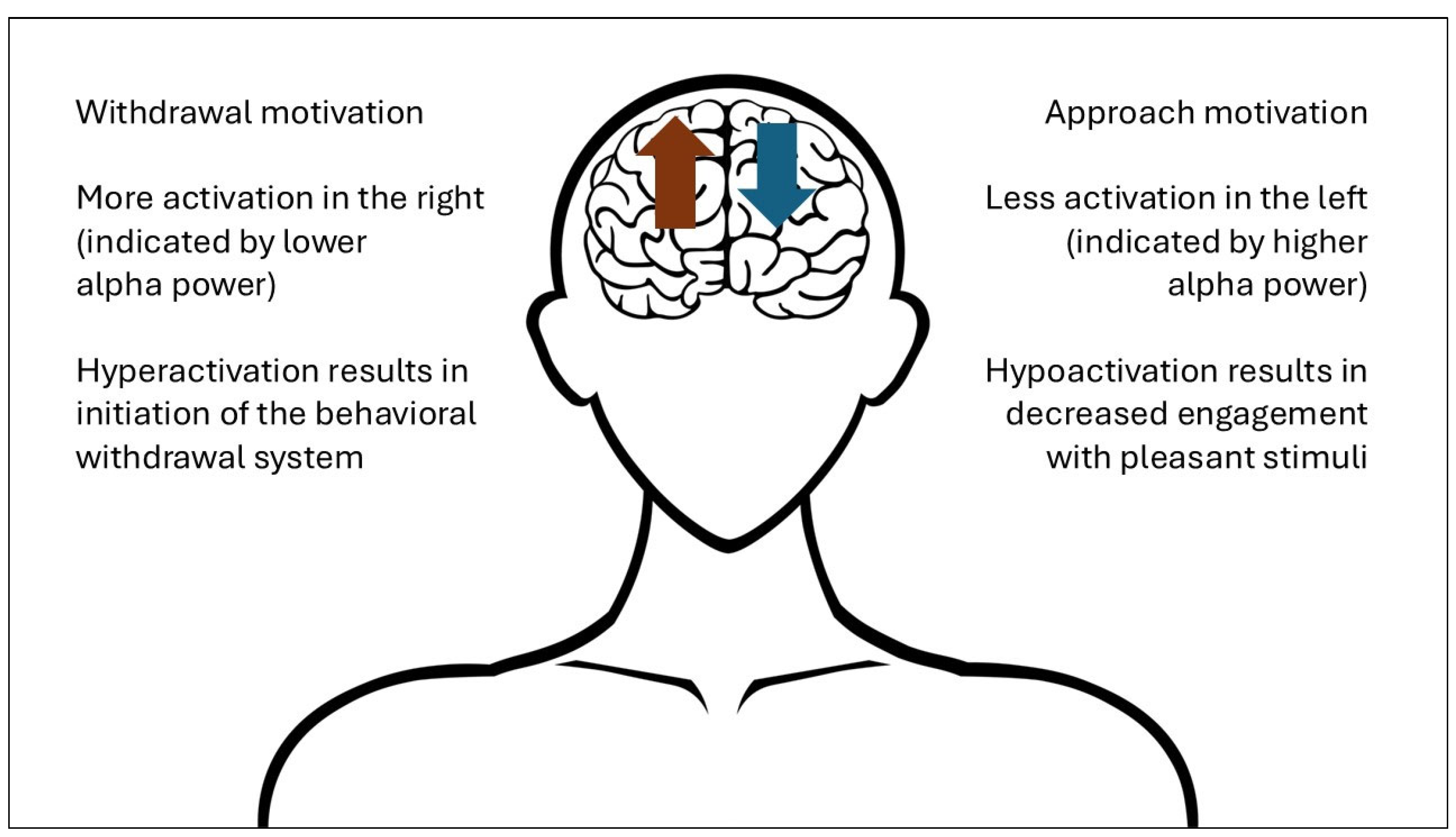 Neurosci 07 00003 g001