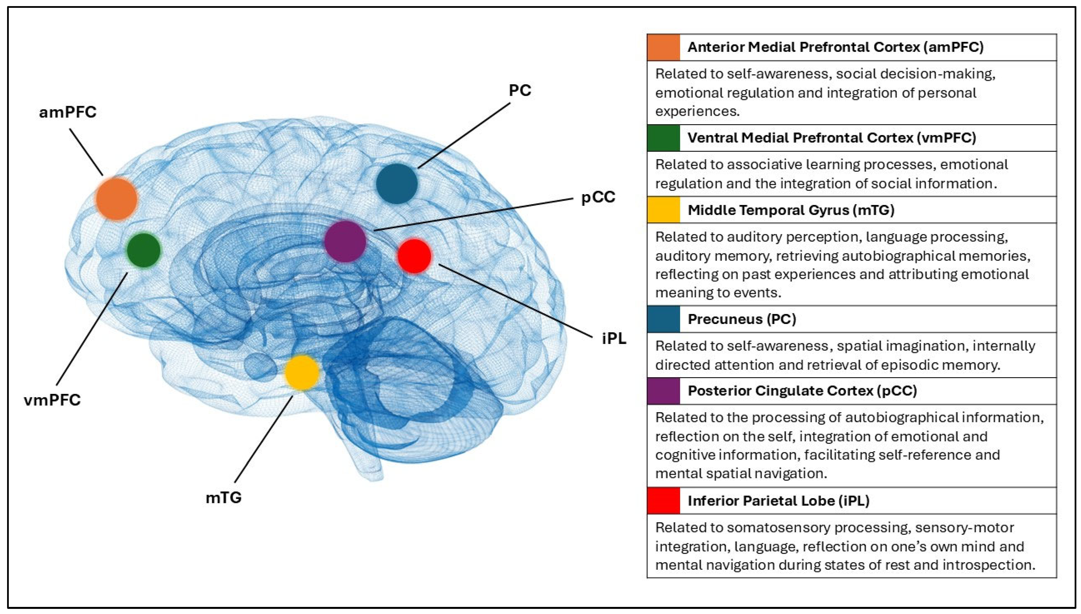 Neurosci 07 00003 g002