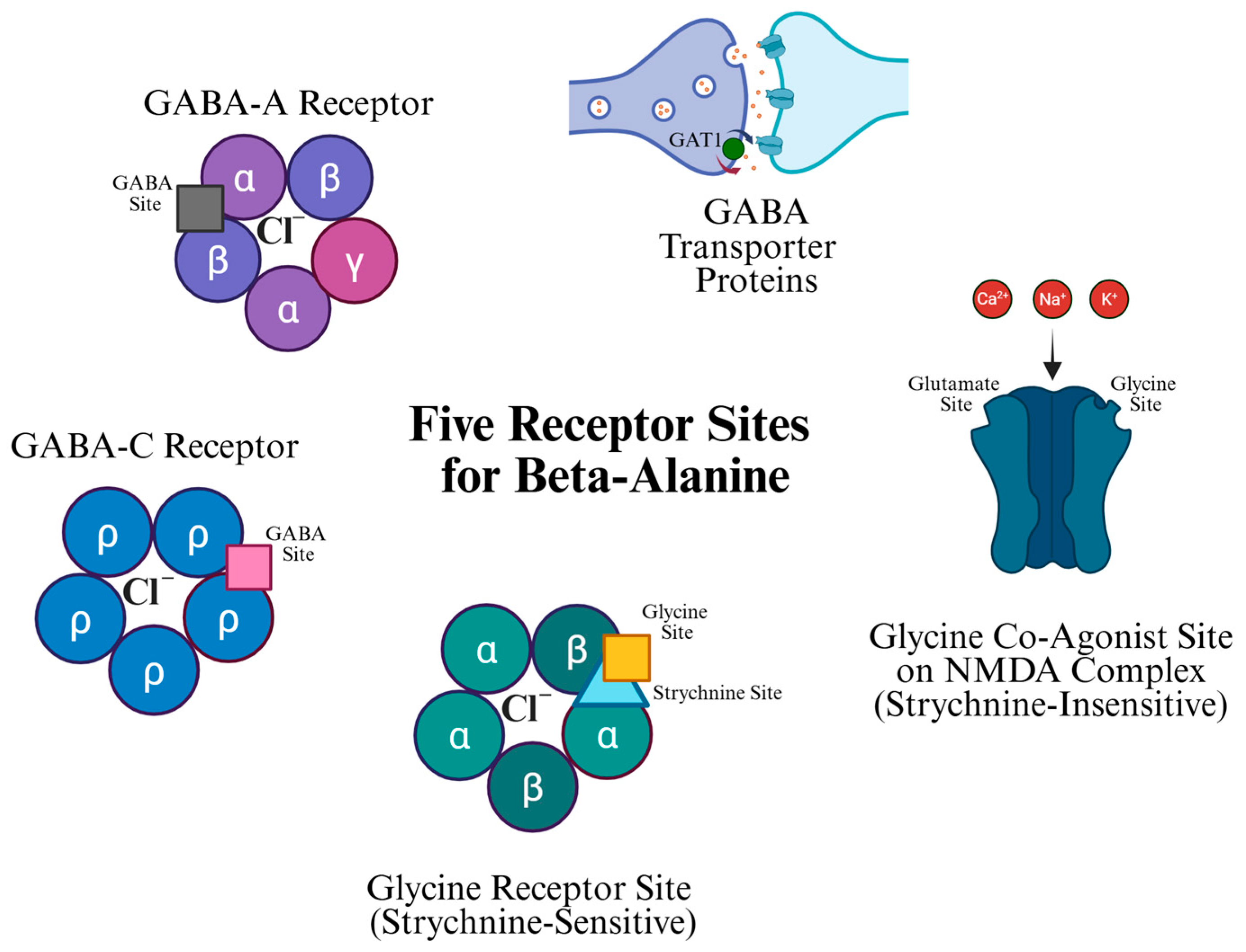 Neurosci 07 00013 g002