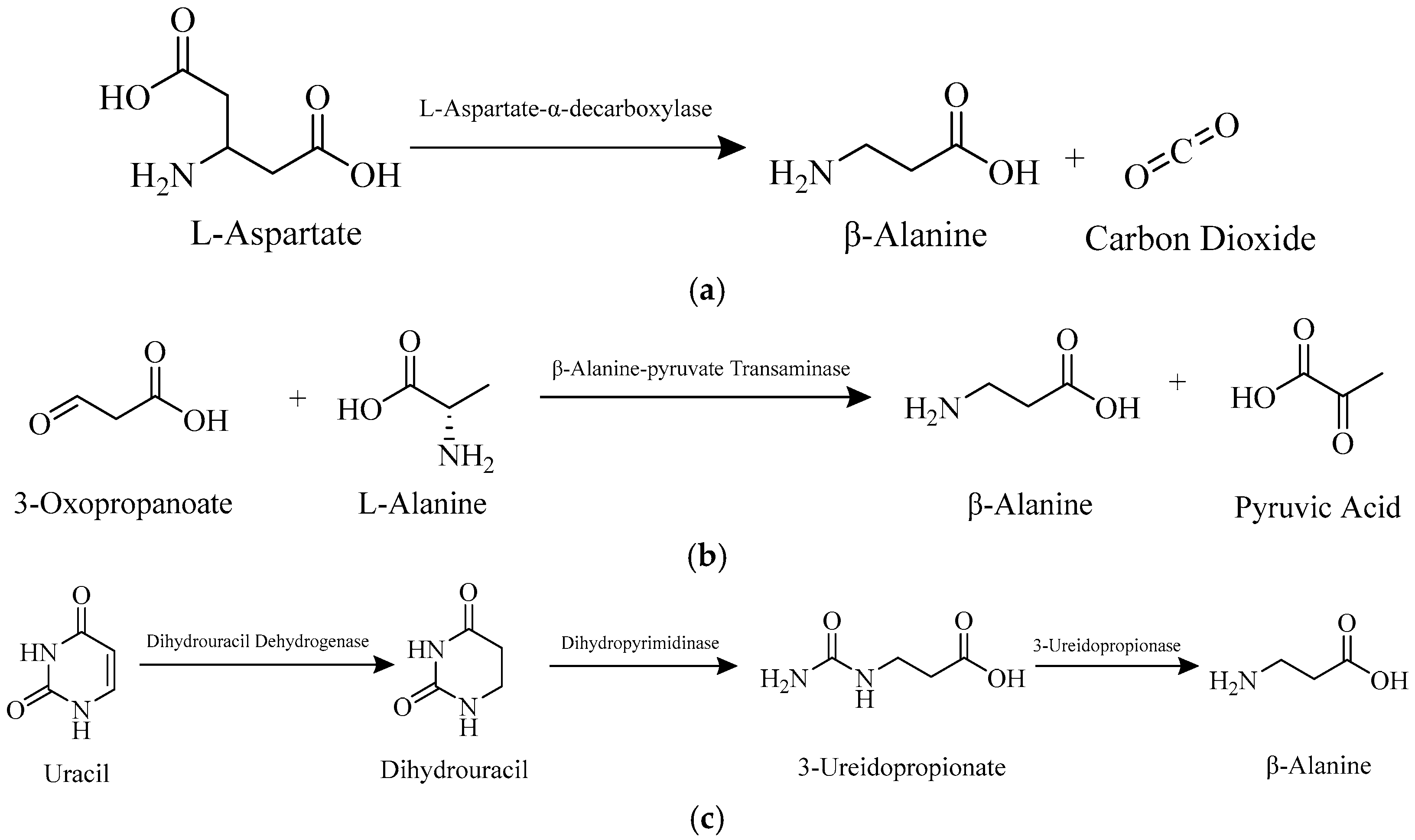 Neurosci 07 00013 sch001