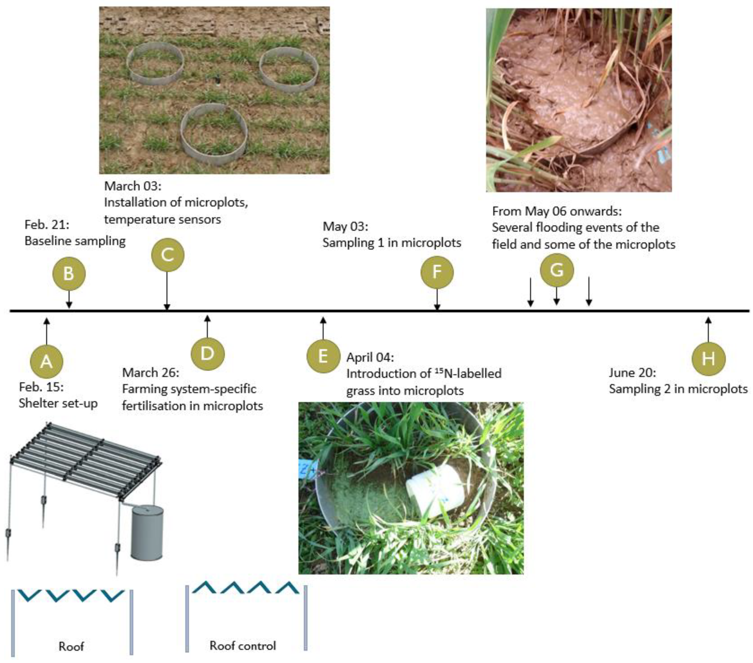 Nitrogen 02 00001 g001