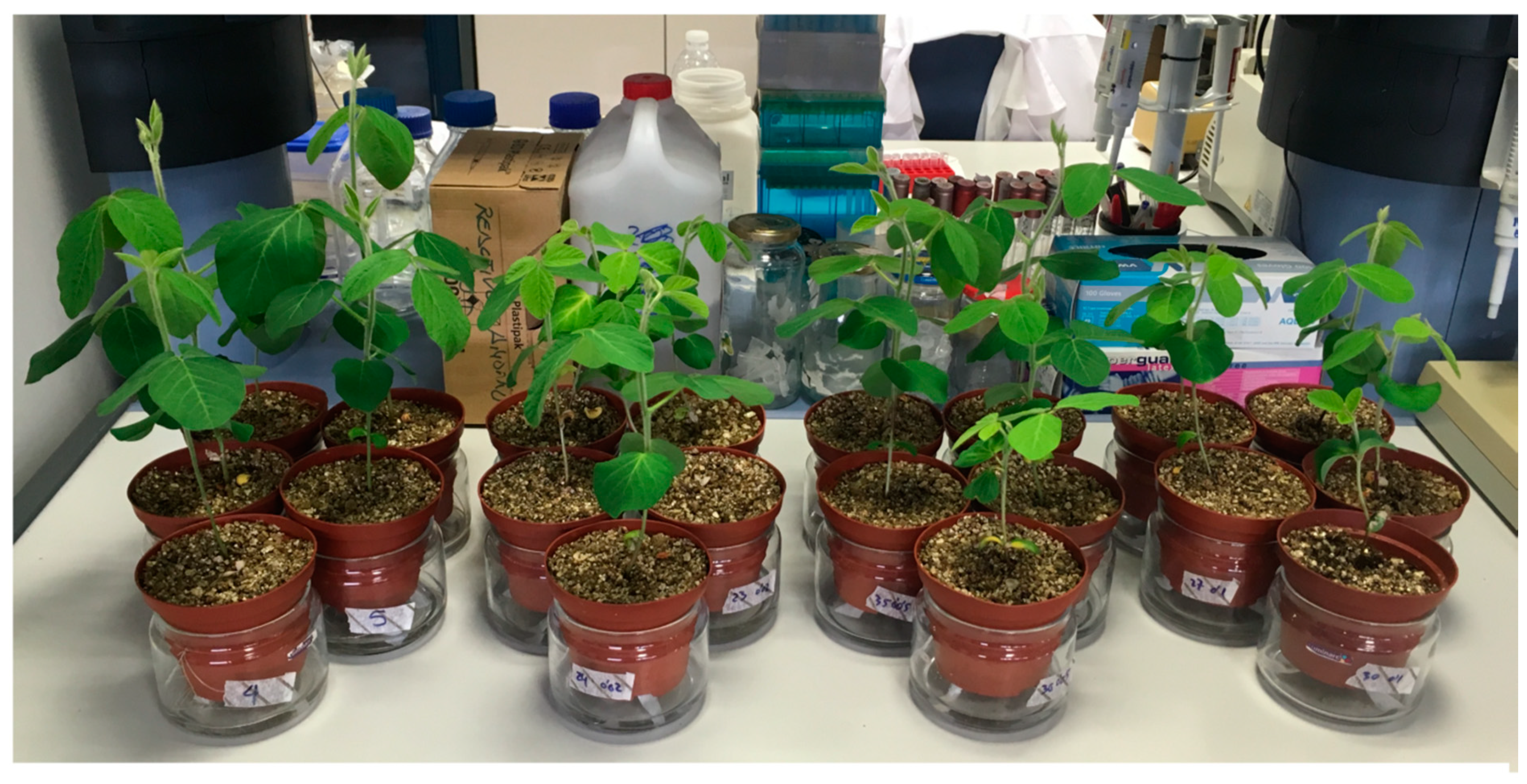 Nitrogen 02 00003 g001 Nitrogen 02 00003 g001