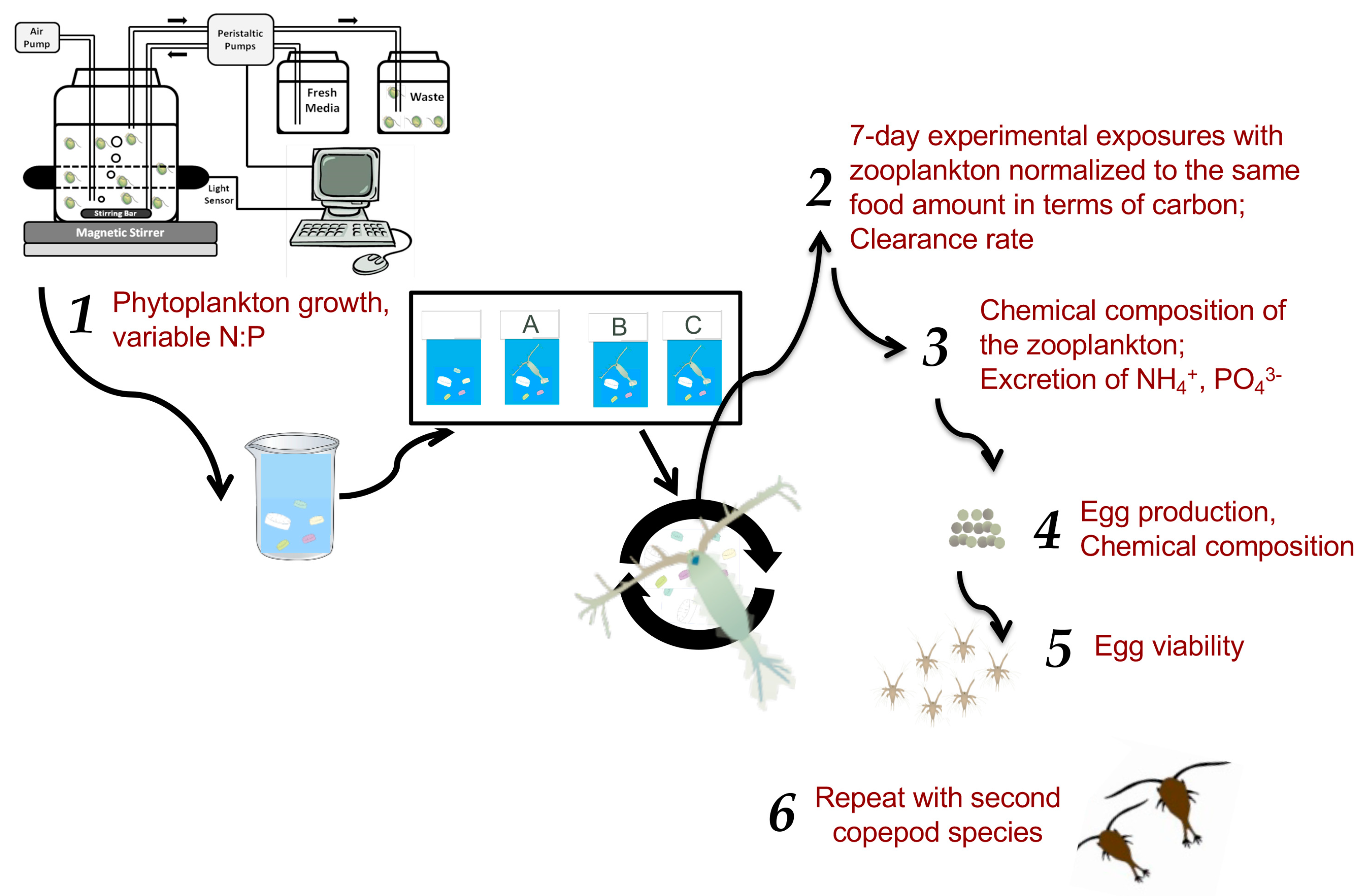Nitrogen 02 00005 g001 Nitrogen 02 00005 g001