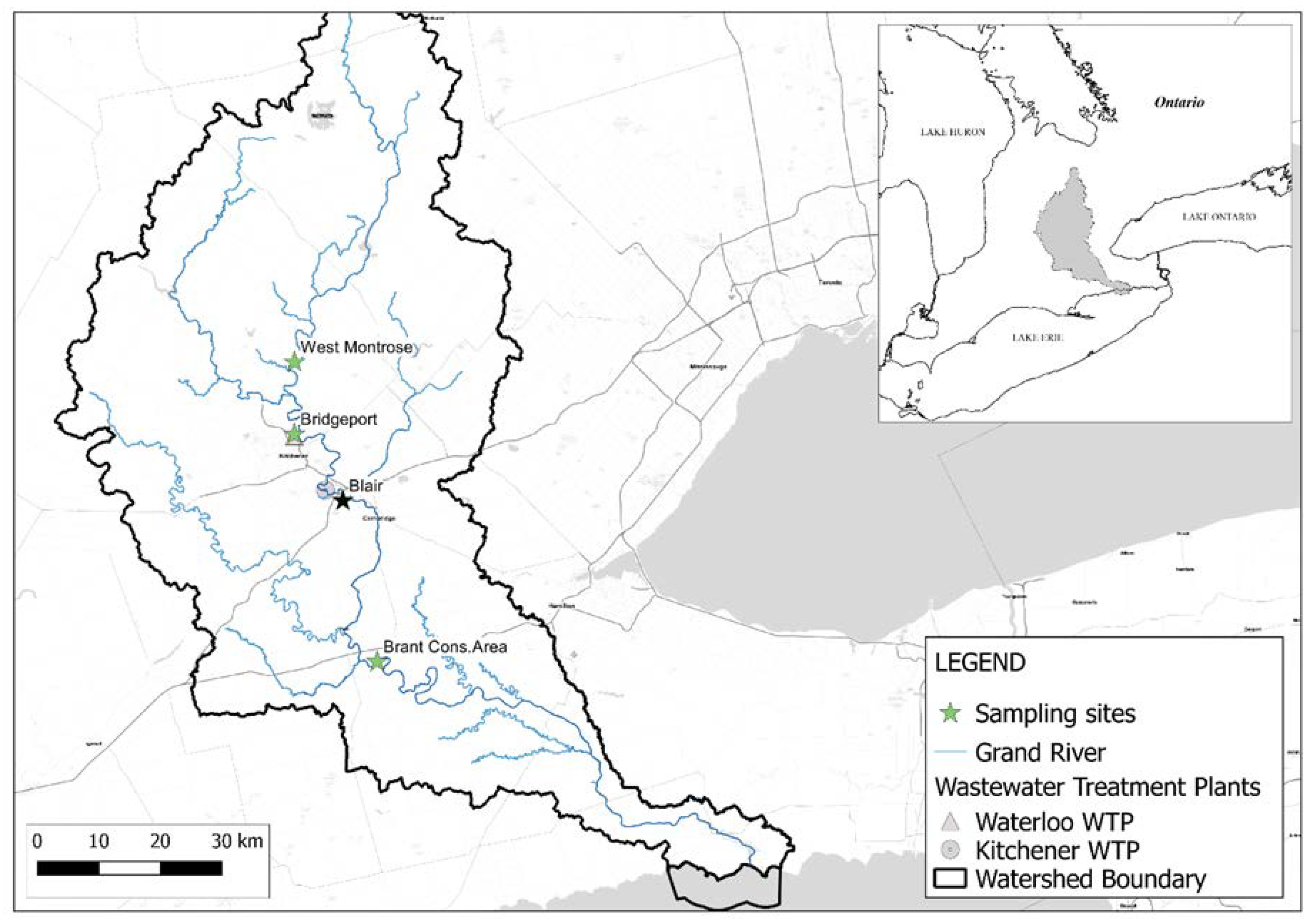 Nitrogen 02 00010 g001