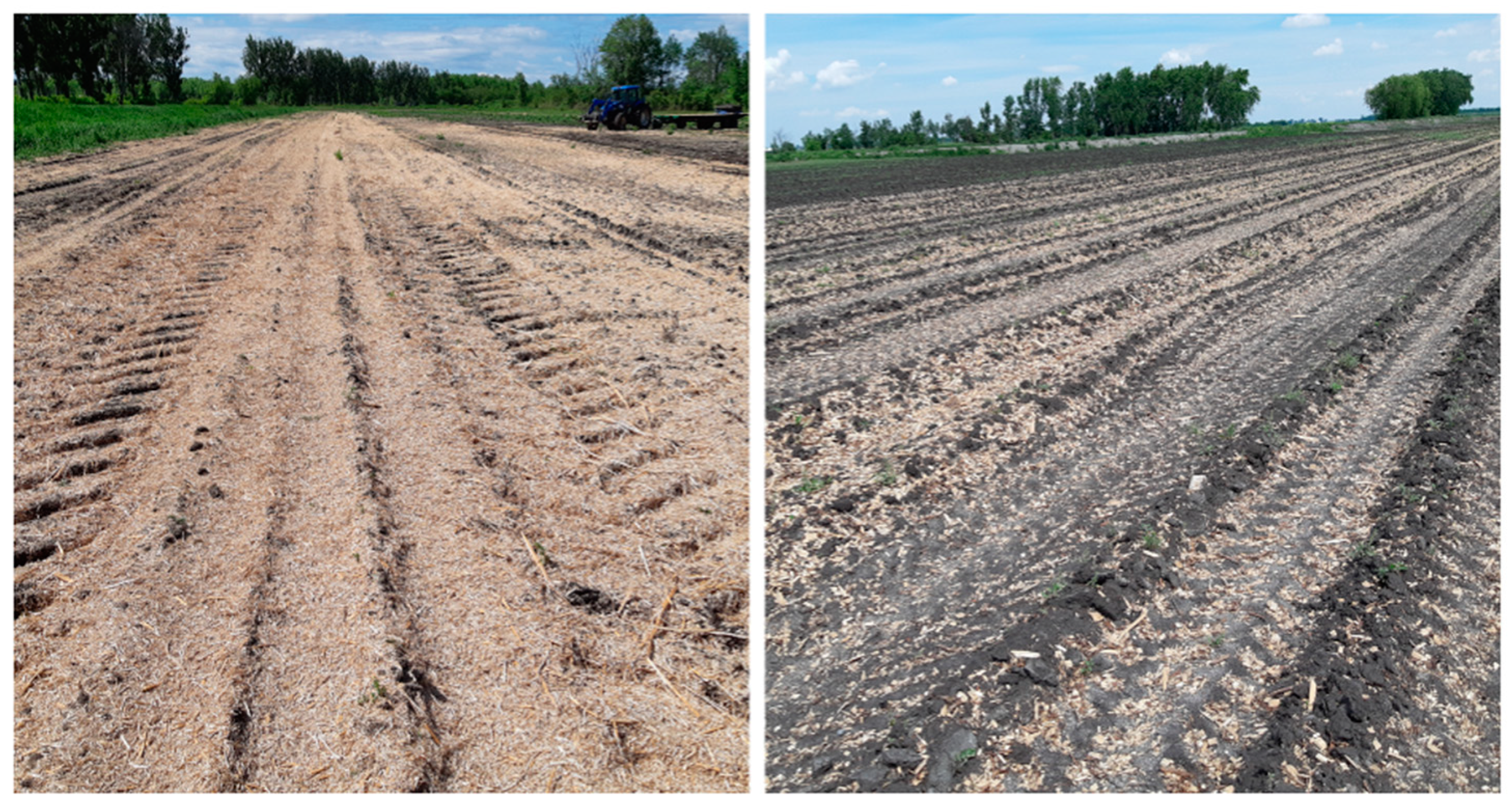 Nitrogen 03 00002 g001