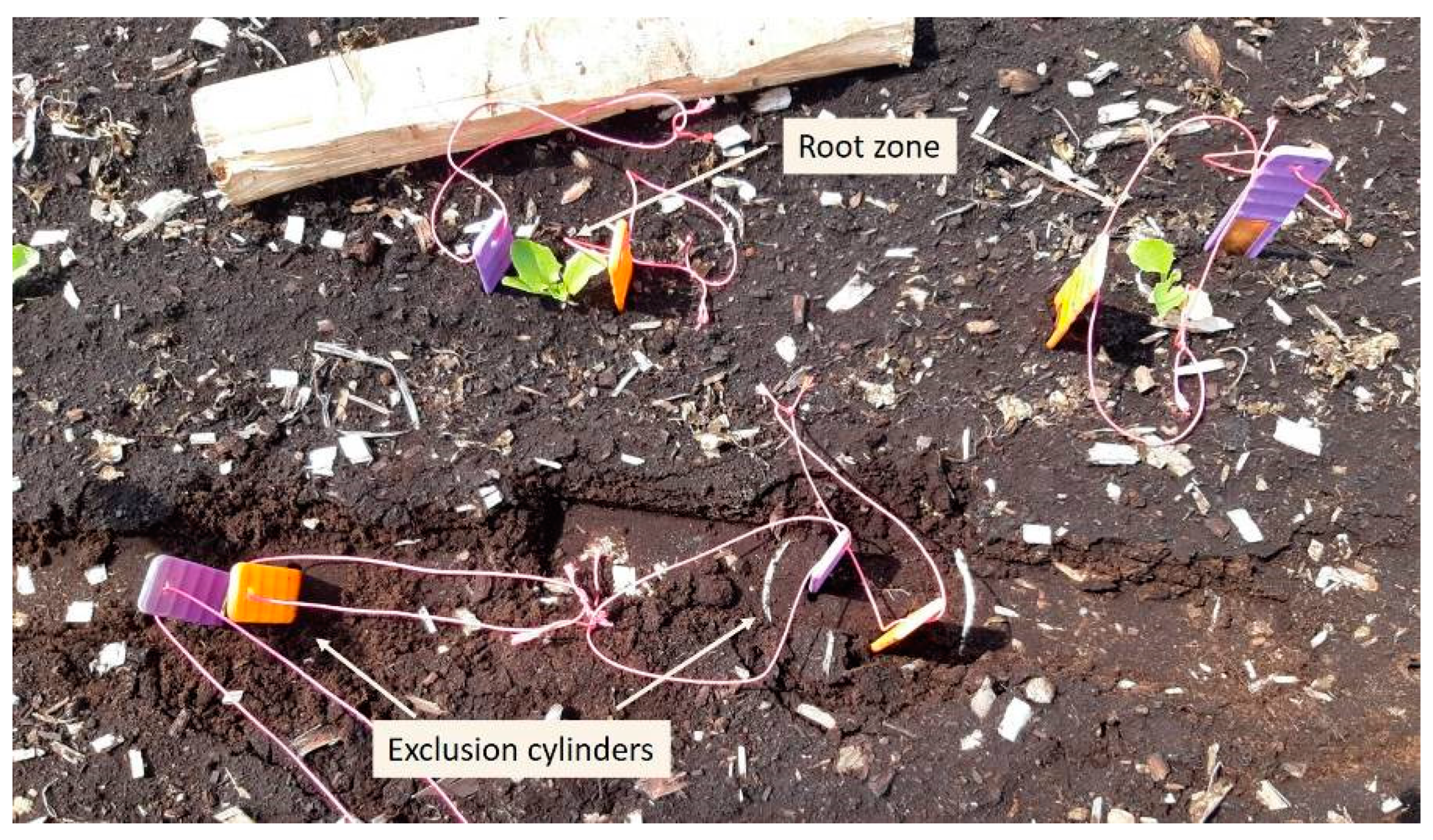 Nitrogen 03 00002 g002