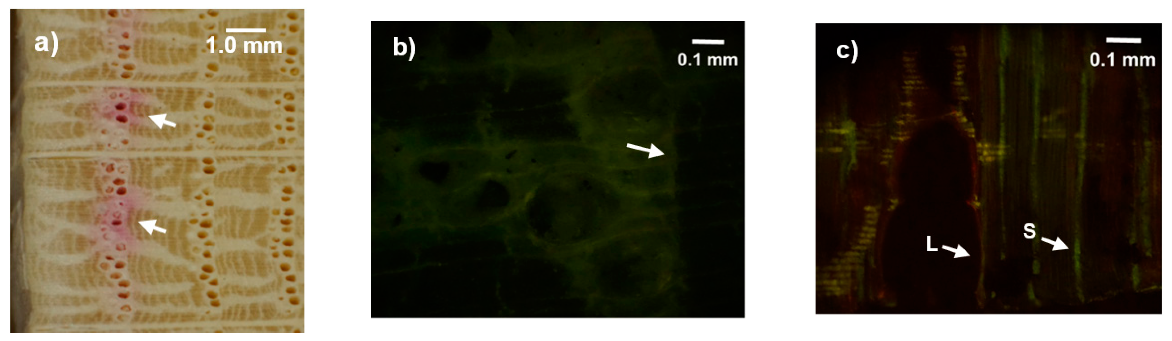 Nitrogen 03 00006 g005 550