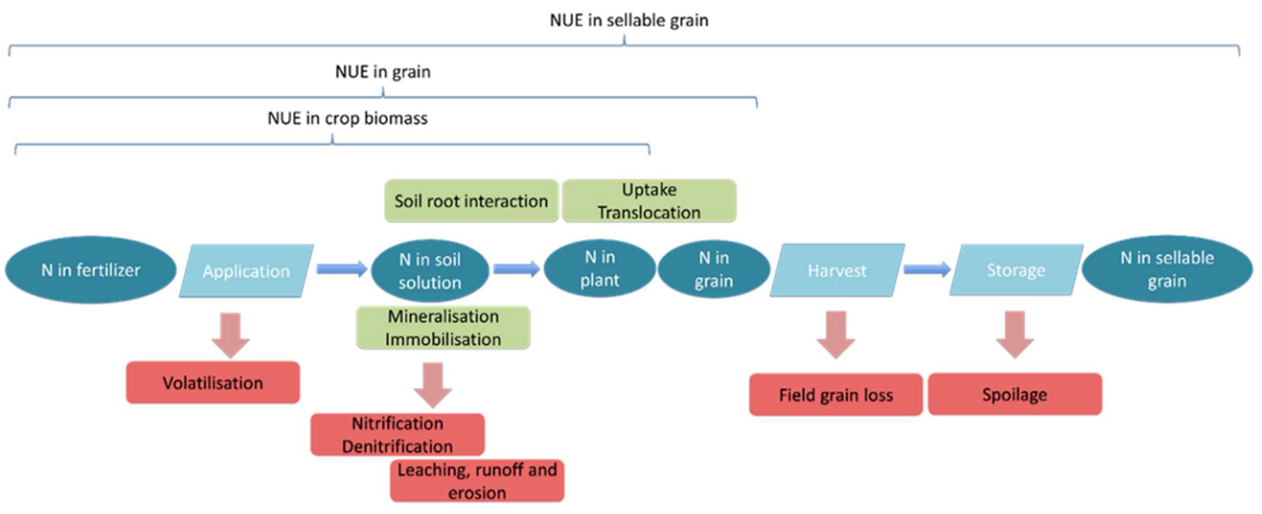 Nitrogen 03 00016 g003 Nitrogen 03 00016 g003