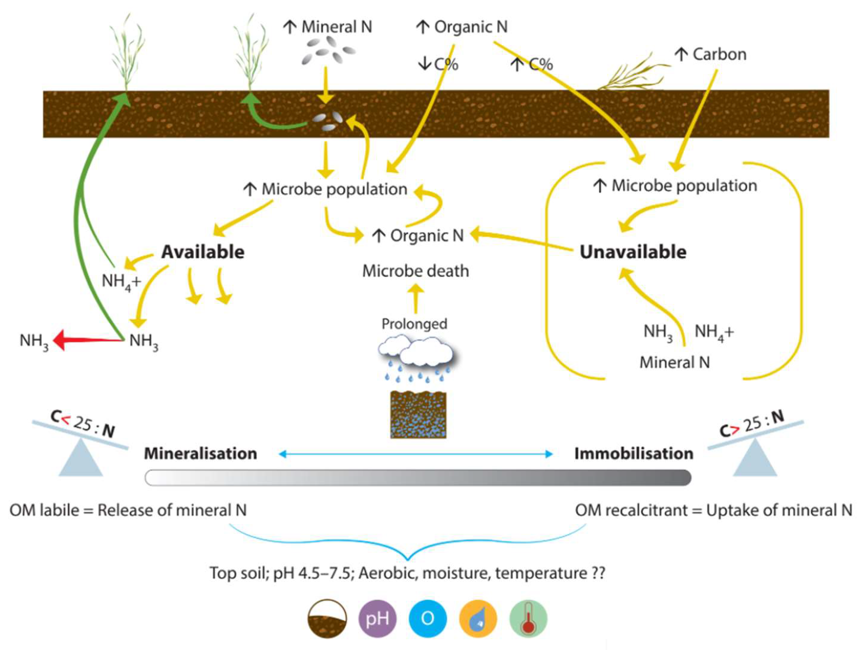 Nitrogen 03 00016 g004 Nitrogen 03 00016 g004