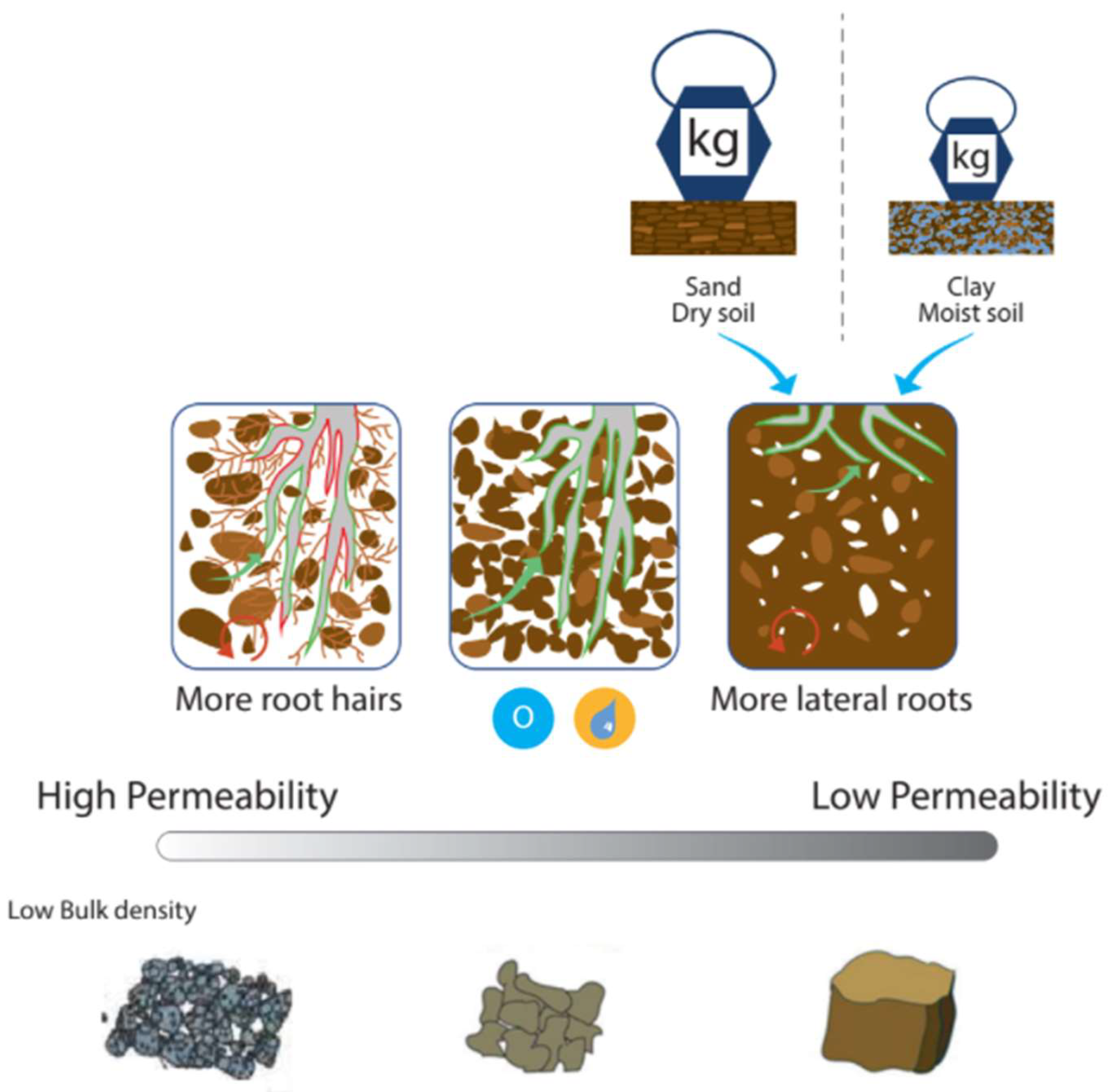 Nitrogen 03 00016 g005 Nitrogen 03 00016 g005
