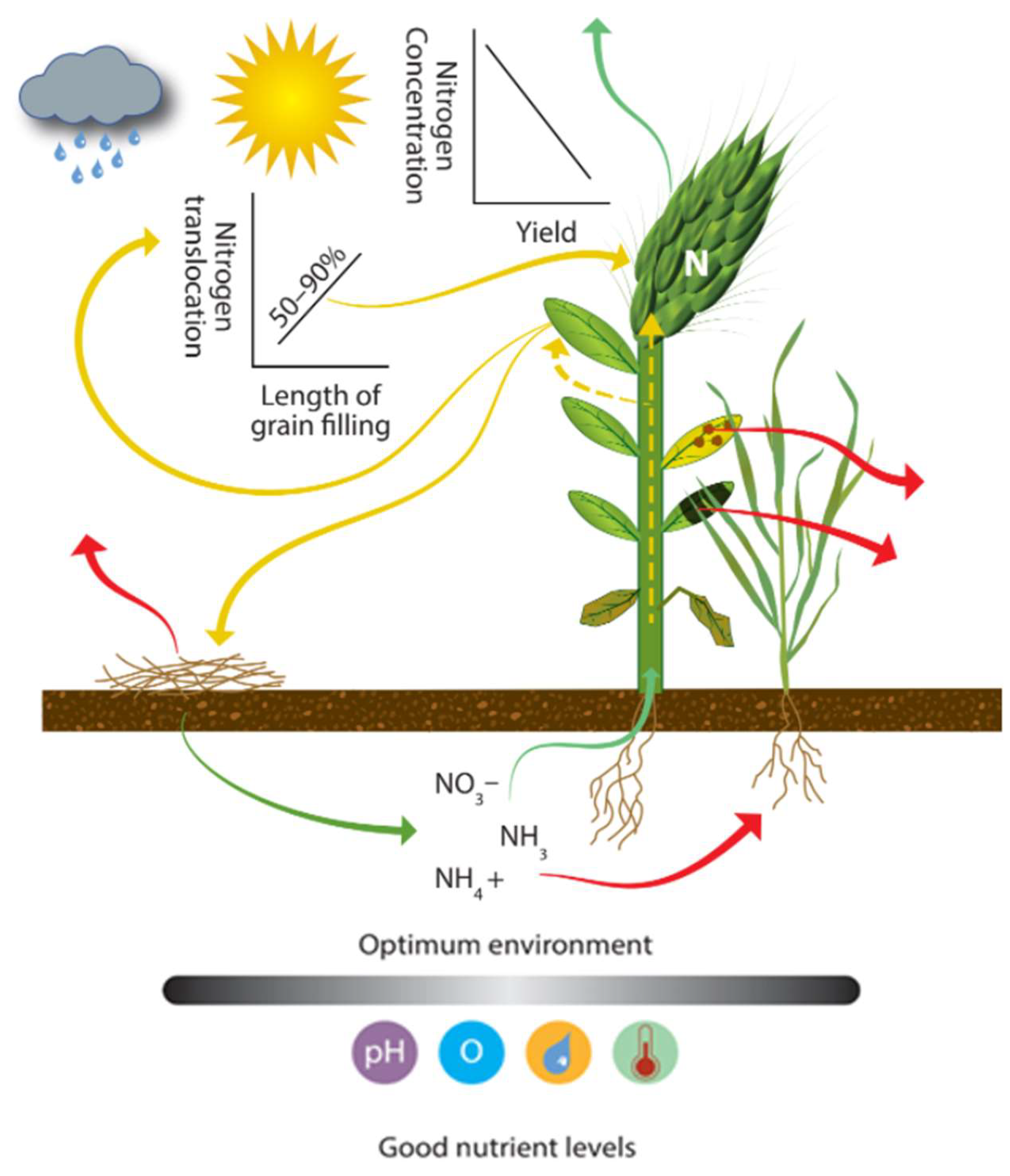 Nitrogen 03 00016 g006 Nitrogen 03 00016 g006