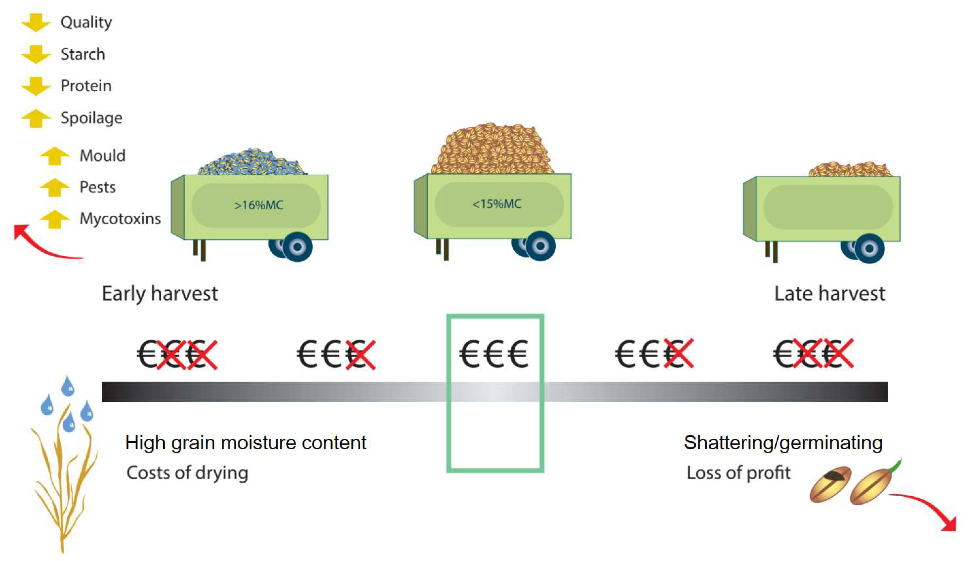 Nitrogen 03 00016 g010 Nitrogen 03 00016 g010