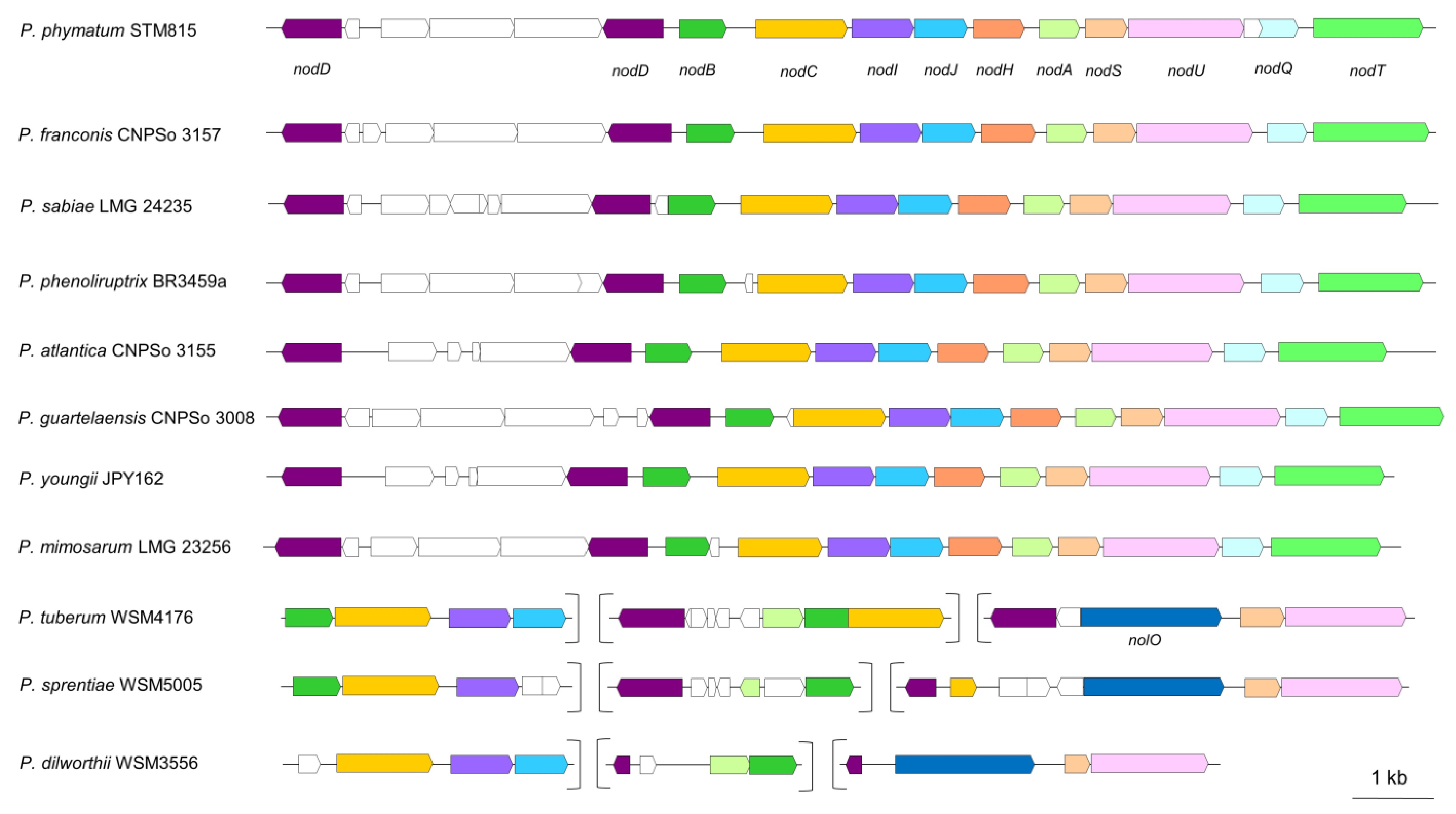 Nitrogen 04 00010 g001
