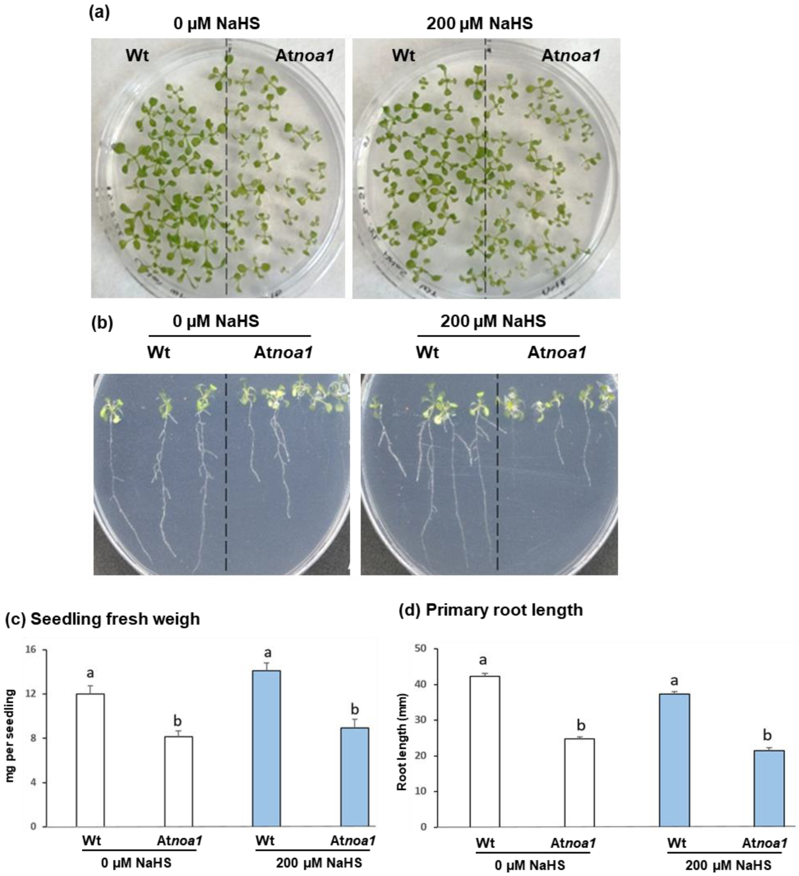 Nitrogen 04 00016 g001 Nitrogen 04 00016 g001