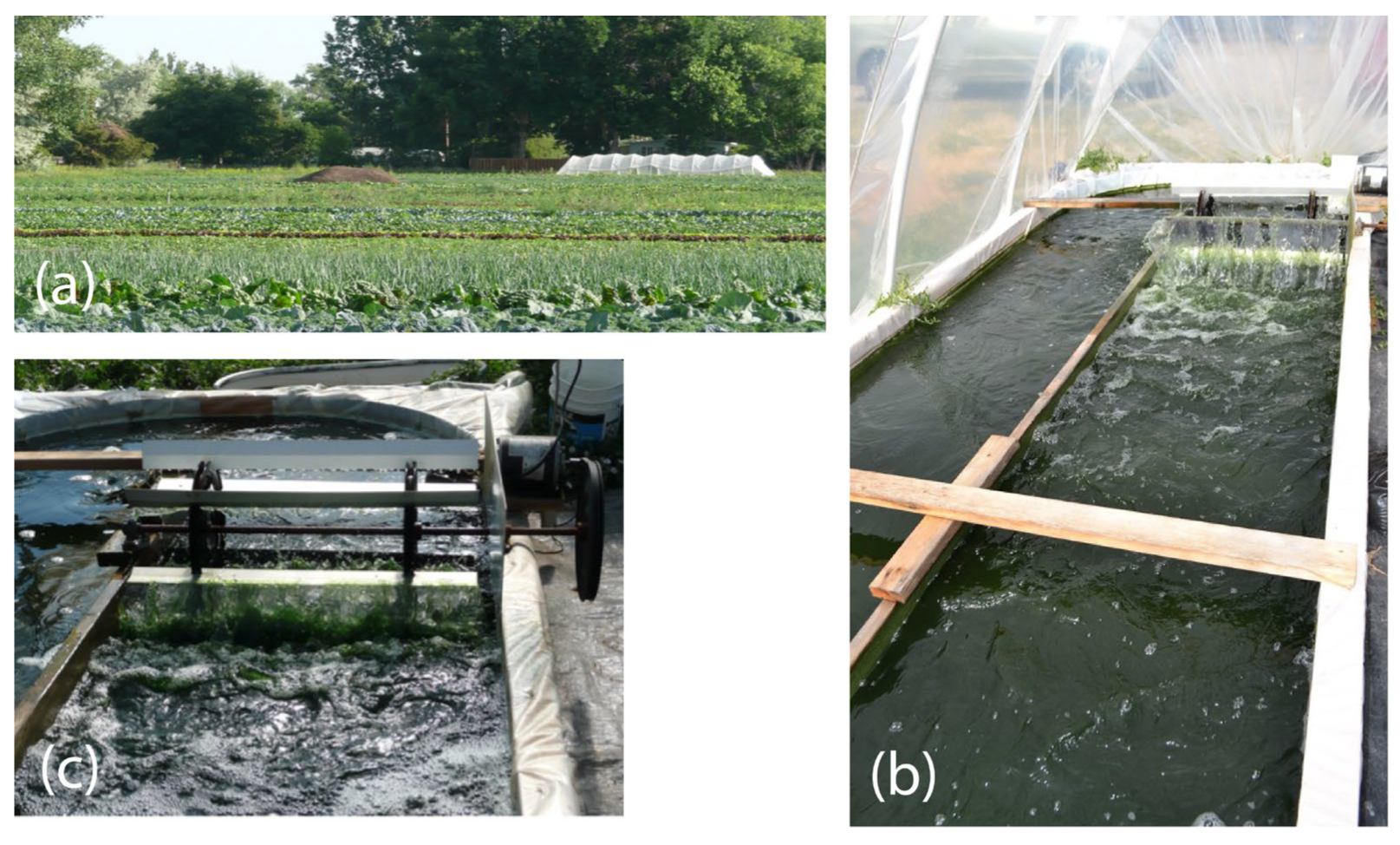 Nitrogen 04 00018 g001 Nitrogen 04 00018 g001