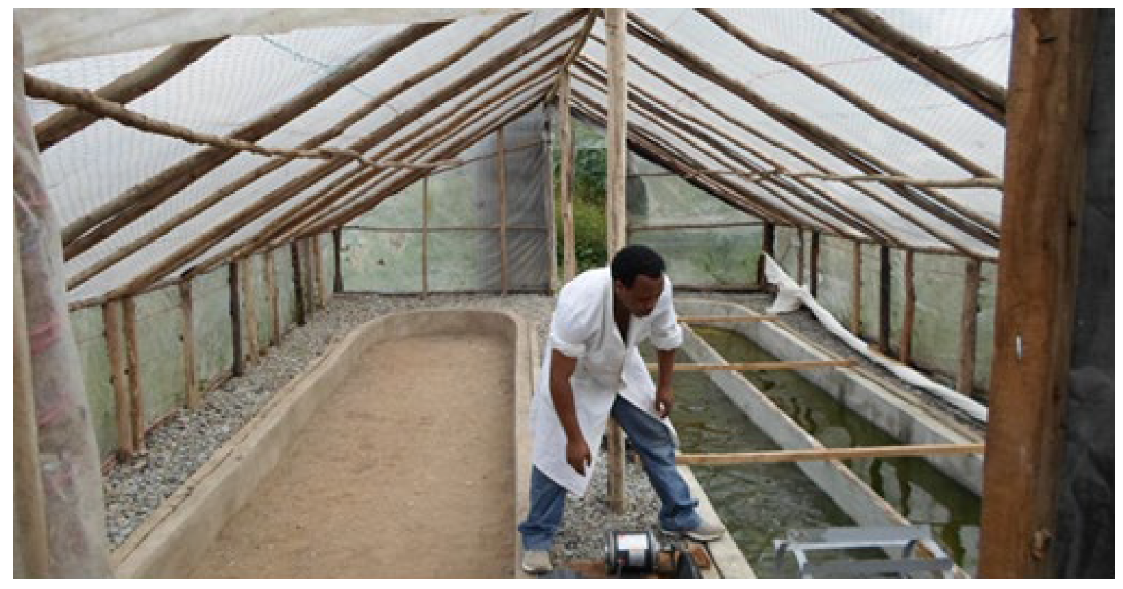 Nitrogen 04 00018 g002 Nitrogen 04 00018 g002