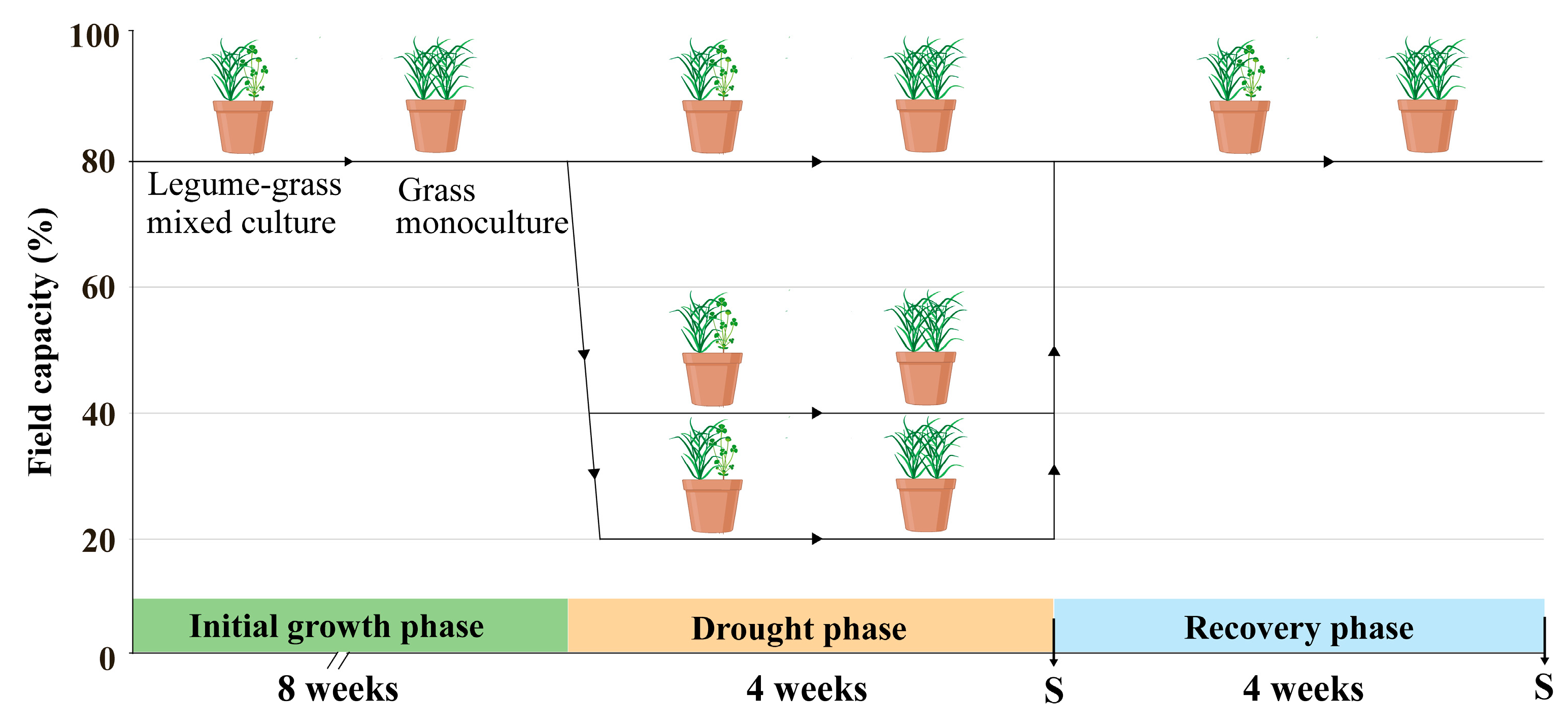 Nitrogen 04 00027 g001