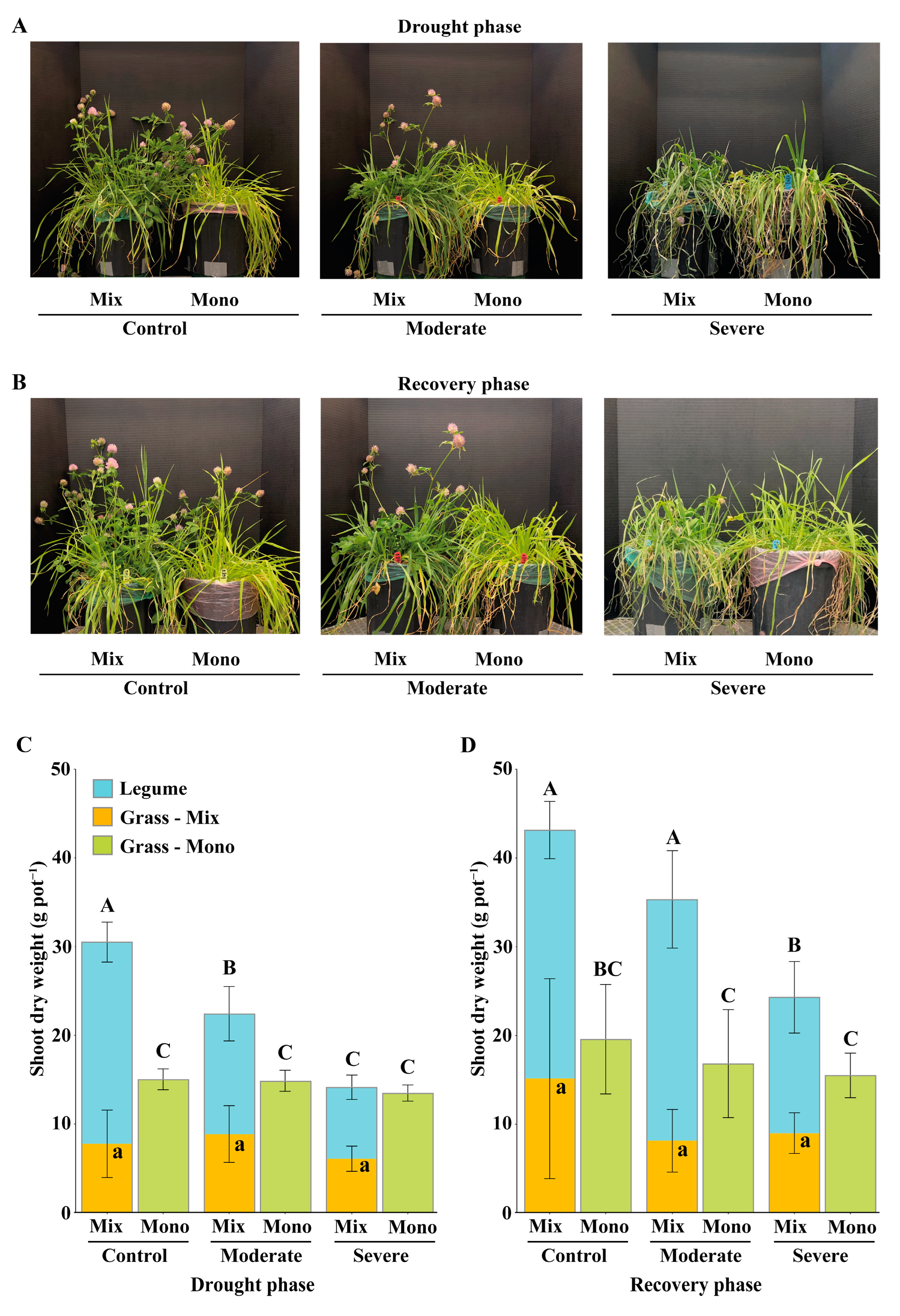 Nitrogen 04 00027 g002