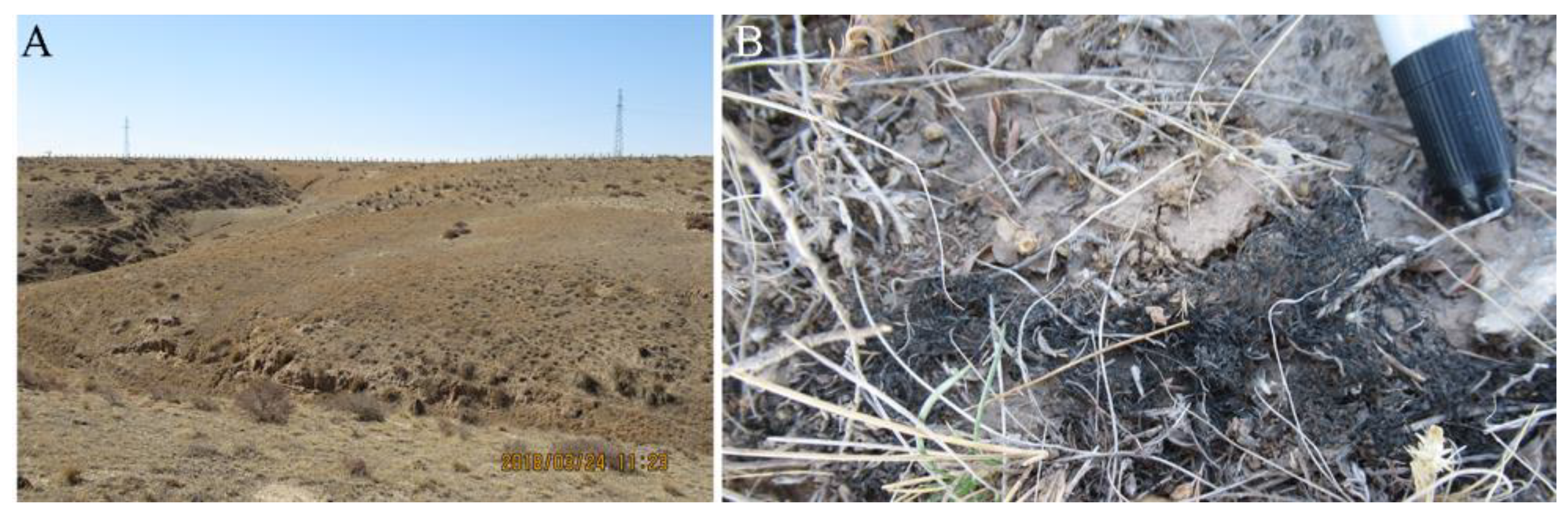 Nitrogen 05 00009 g001 Nitrogen 05 00009 g001