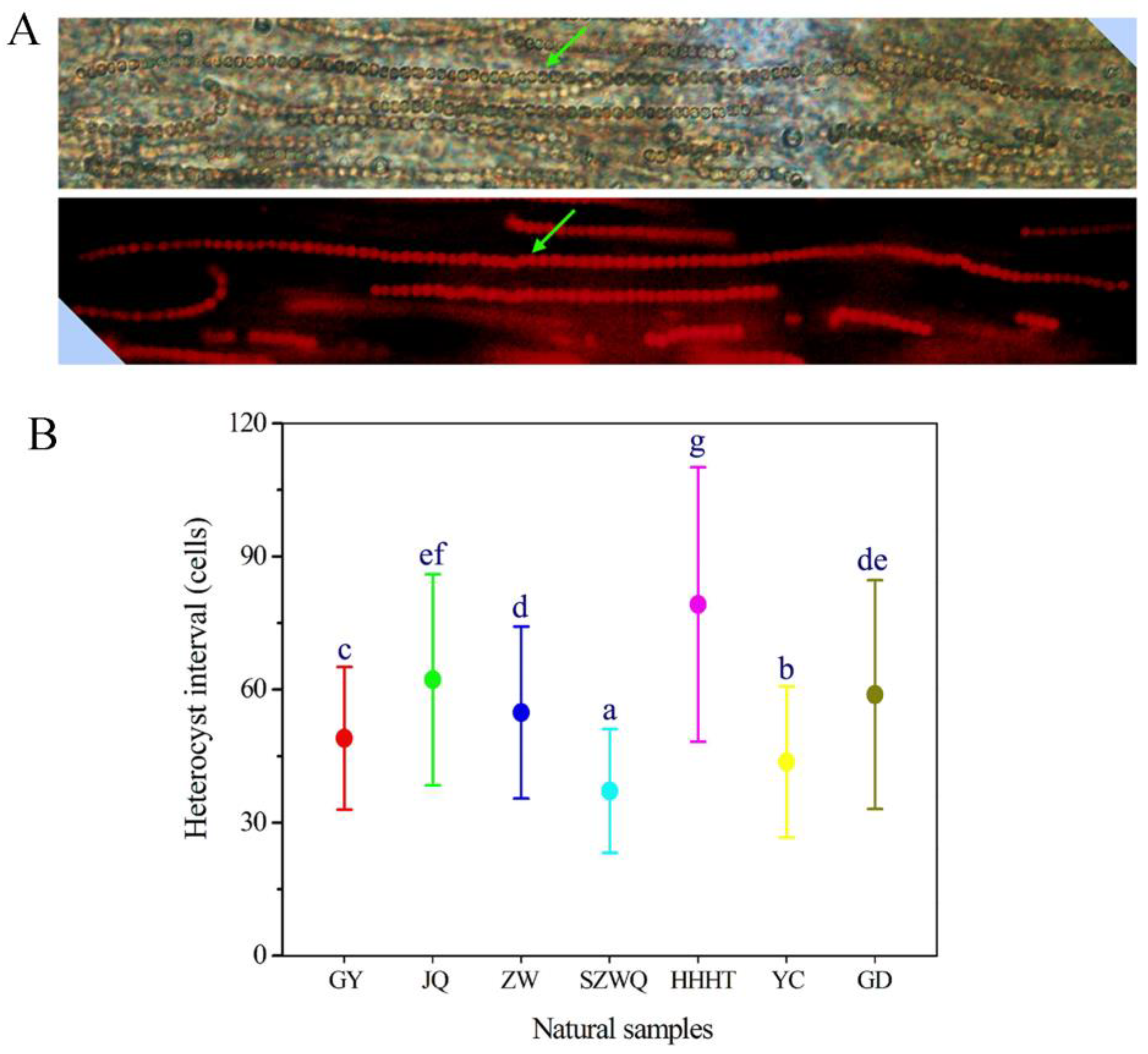 Nitrogen 05 00009 g002 Nitrogen 05 00009 g002