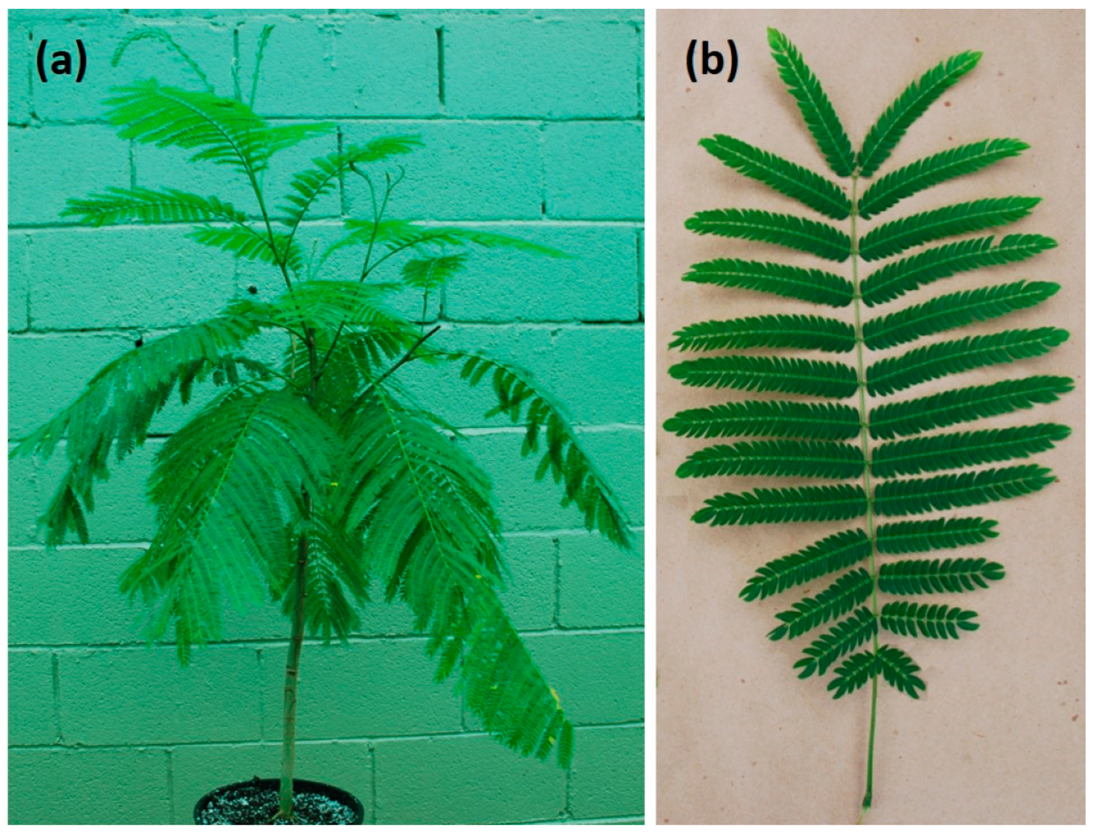 Nitrogen 05 00012 g001