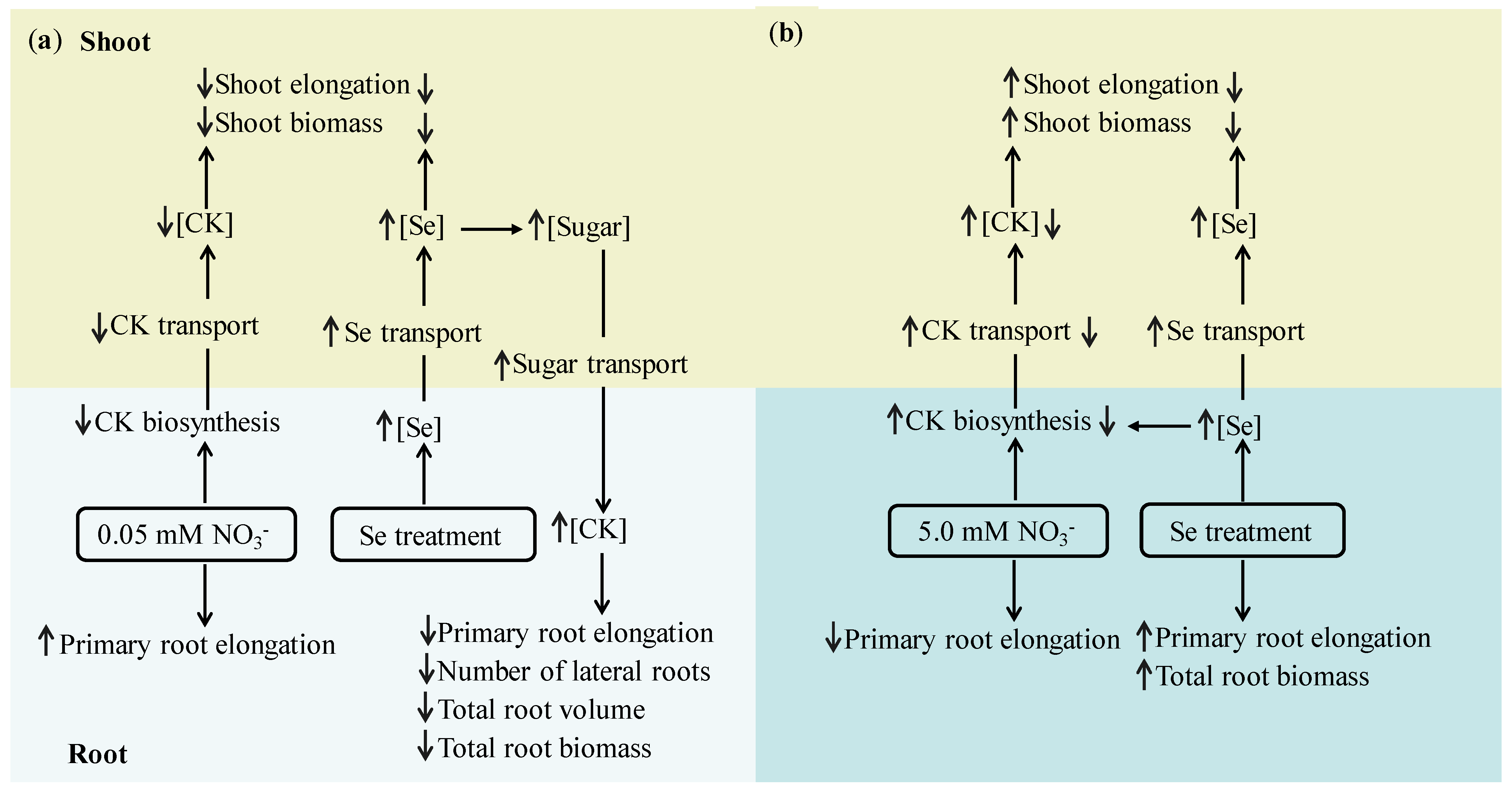 Nitrogen 05 00013 g004