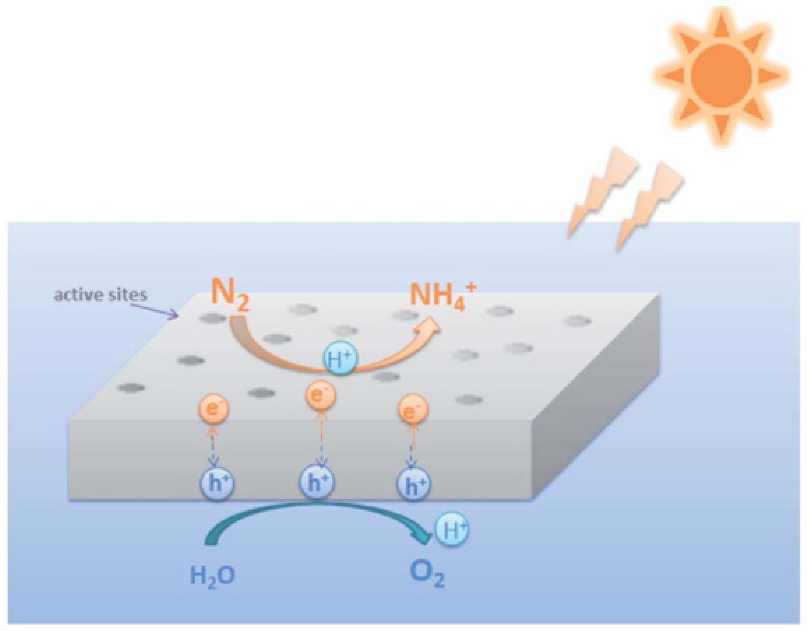 Nitrogen 05 00023 g001