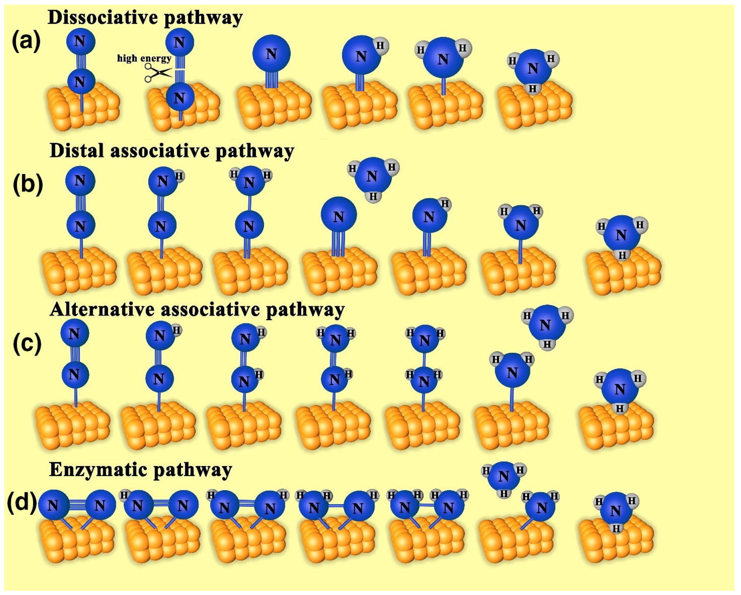 Nitrogen 05 00023 g002