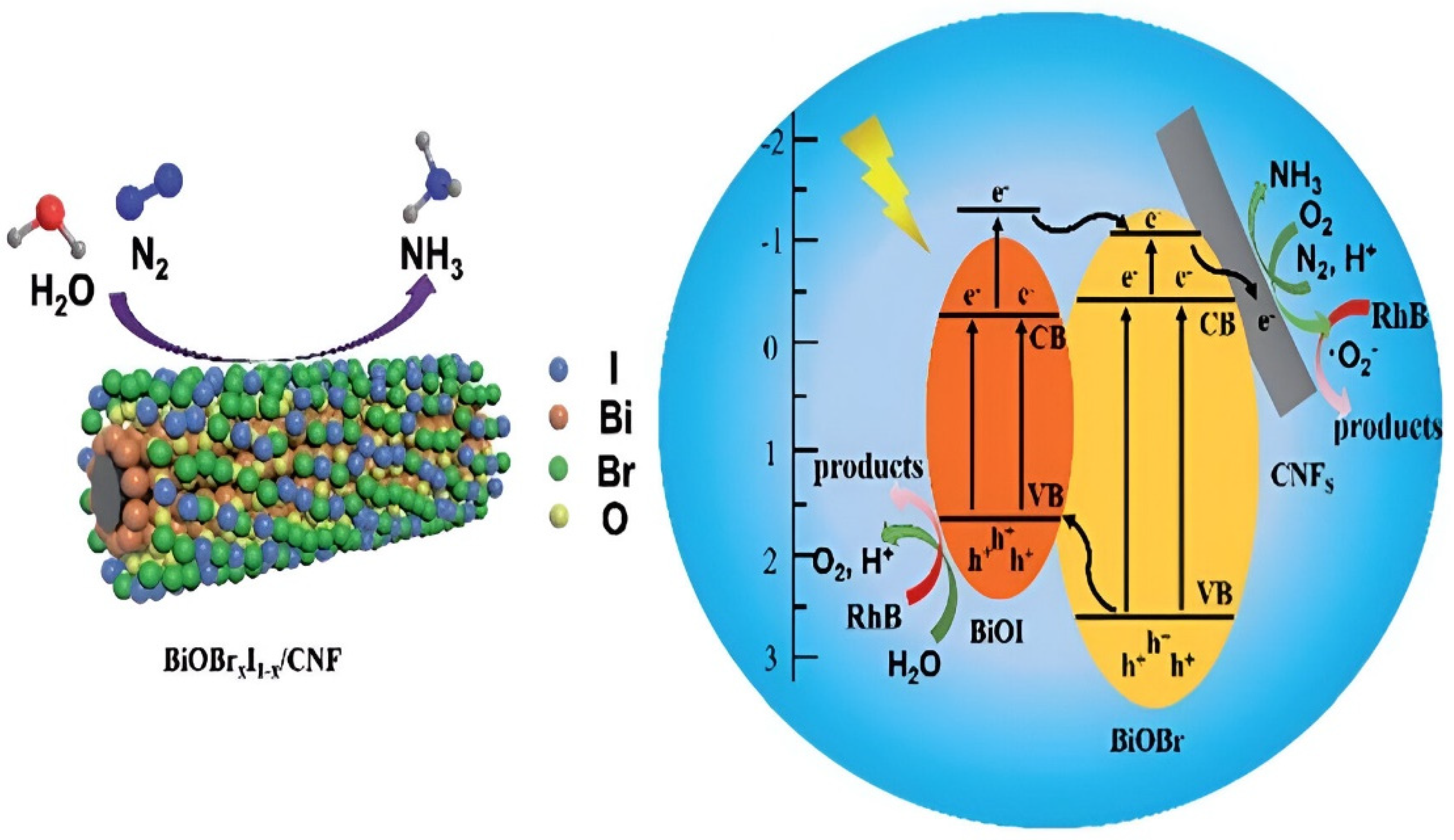 Nitrogen 05 00023 g008