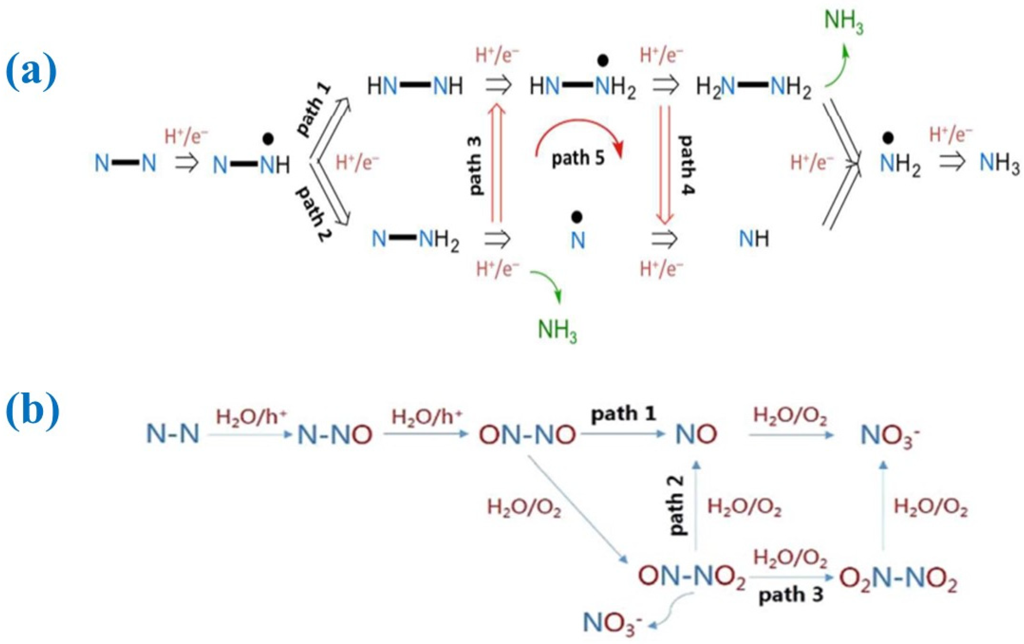 Nitrogen 05 00023 sch001