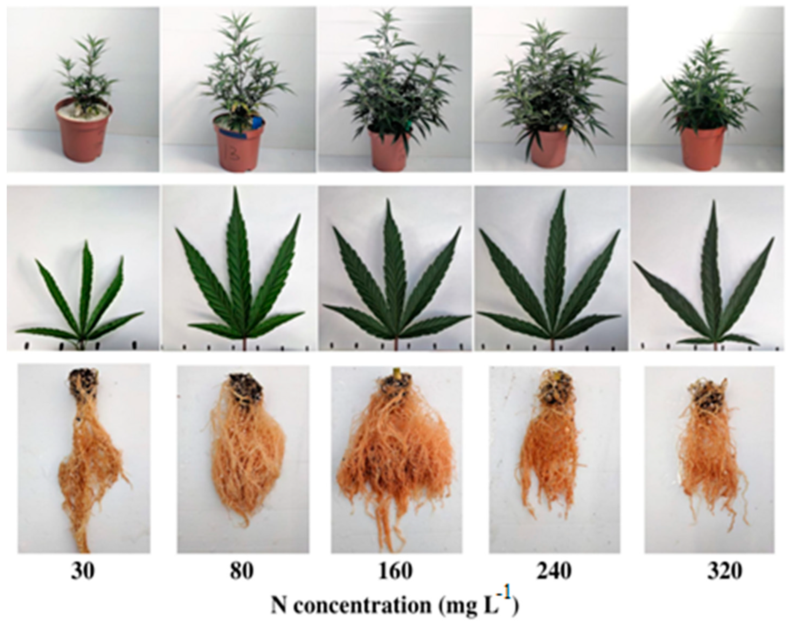 Nitrogen 05 00042 g004