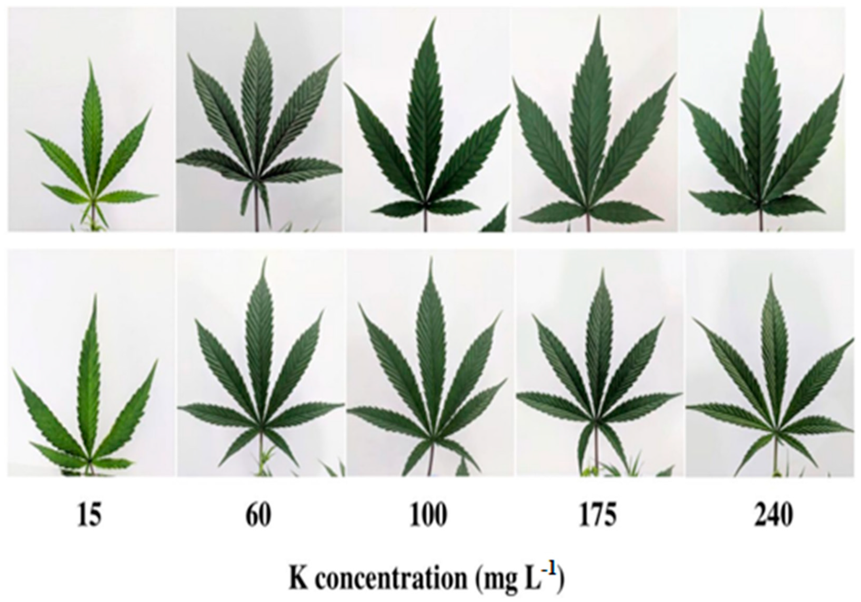 Nitrogen 05 00042 g006