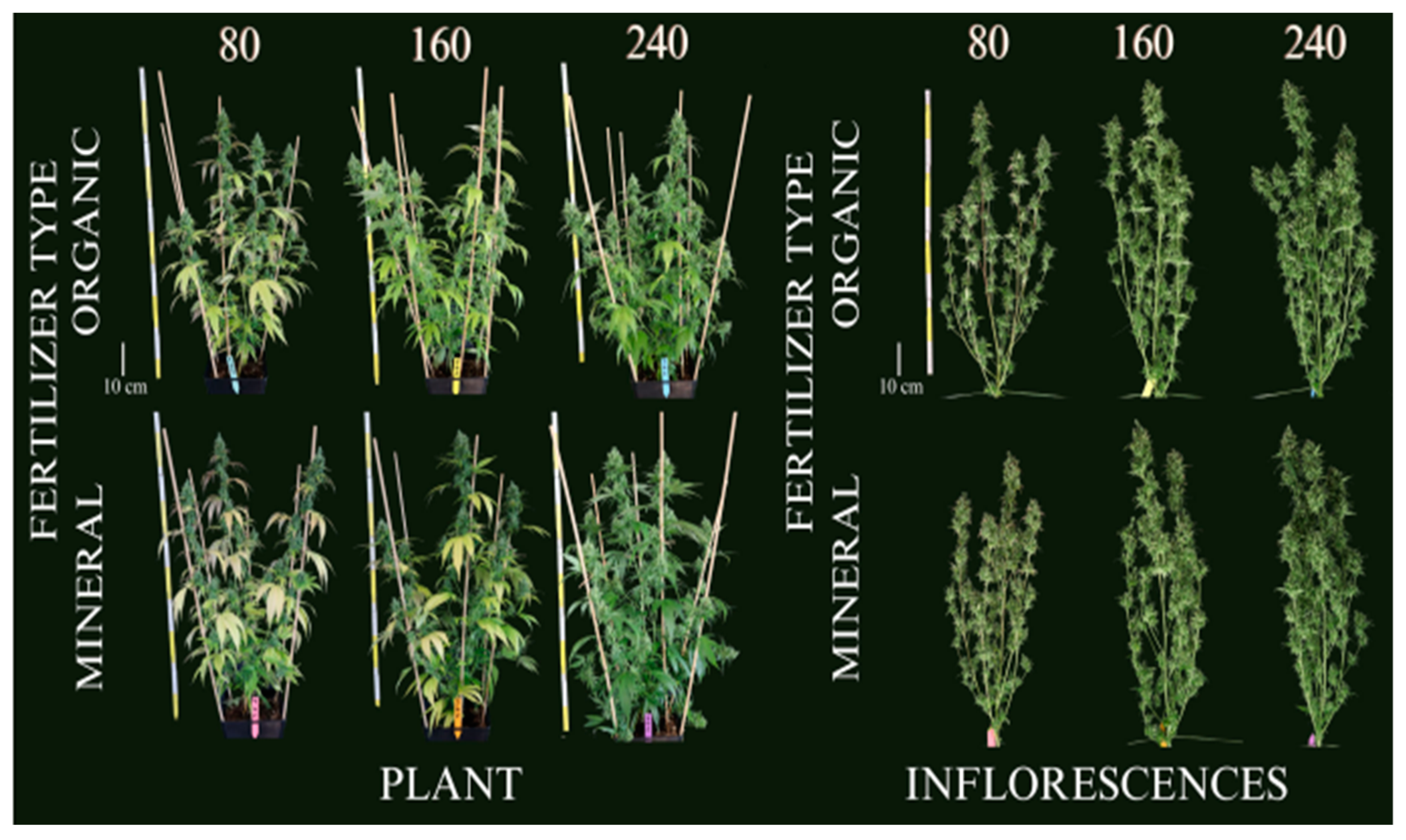 Nitrogen 05 00042 g007