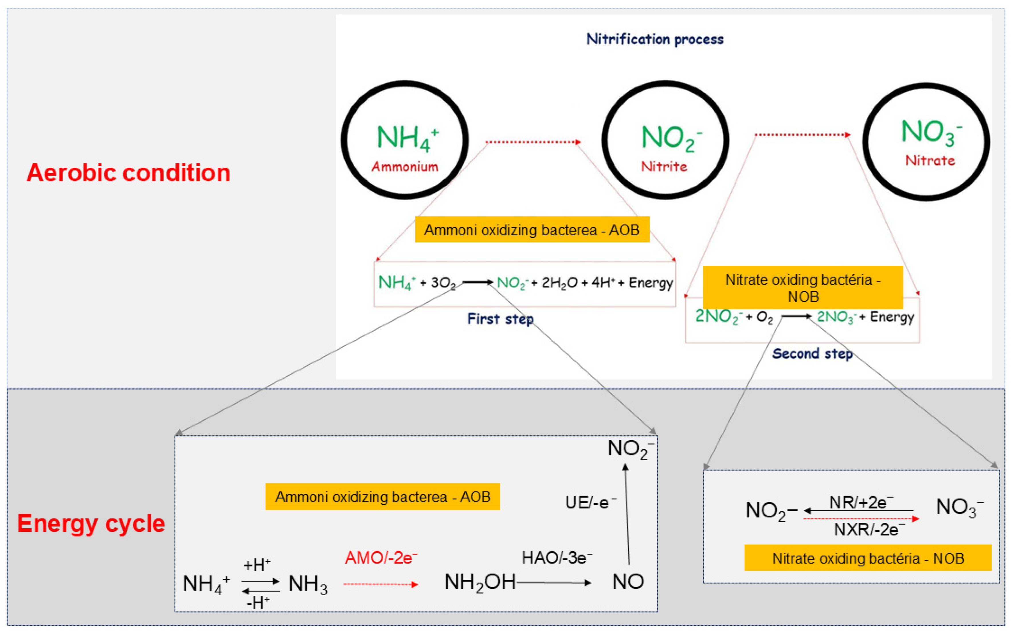 Nitrogen 05 00048 g004