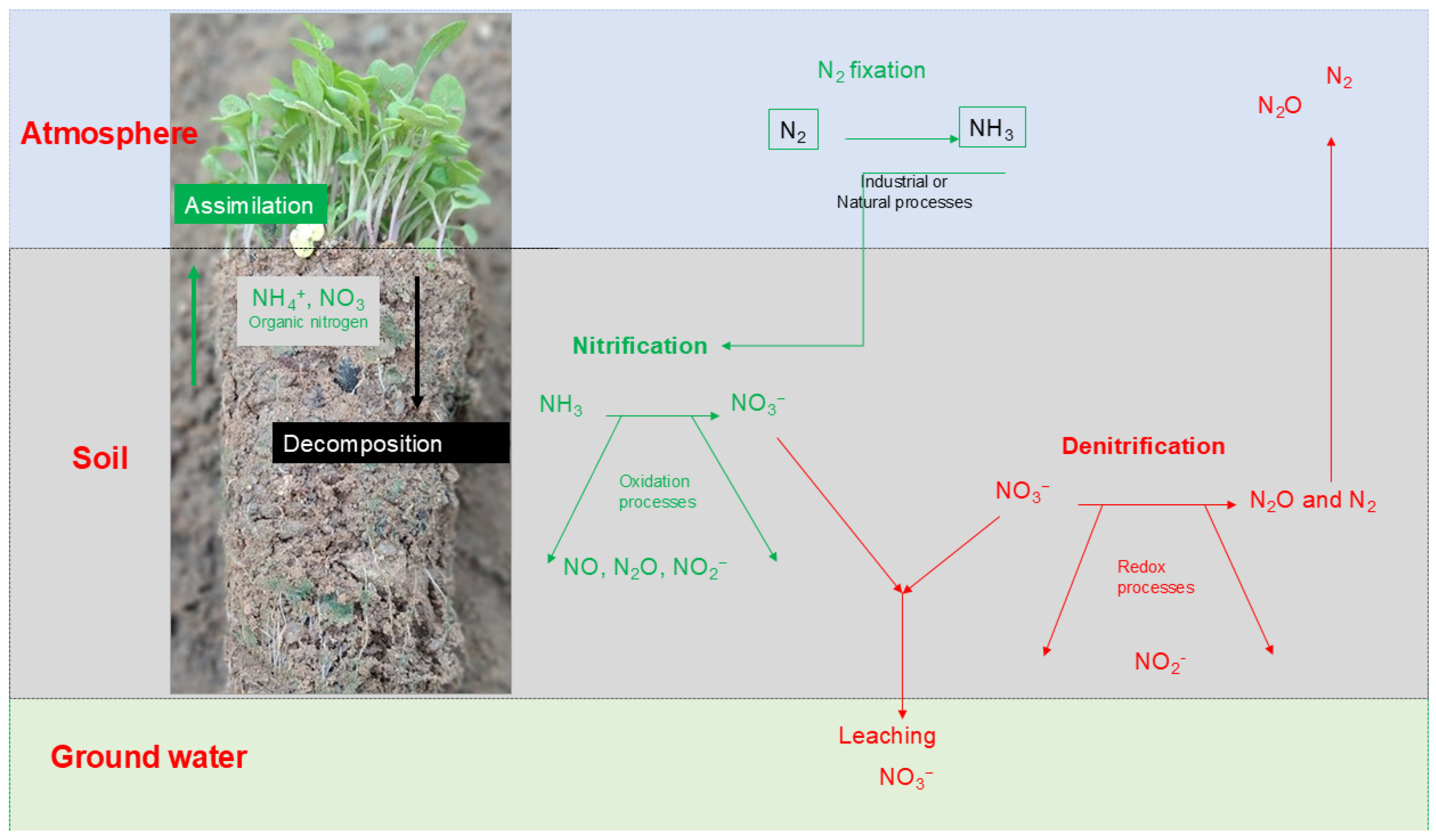 Nitrogen 05 00048 g005