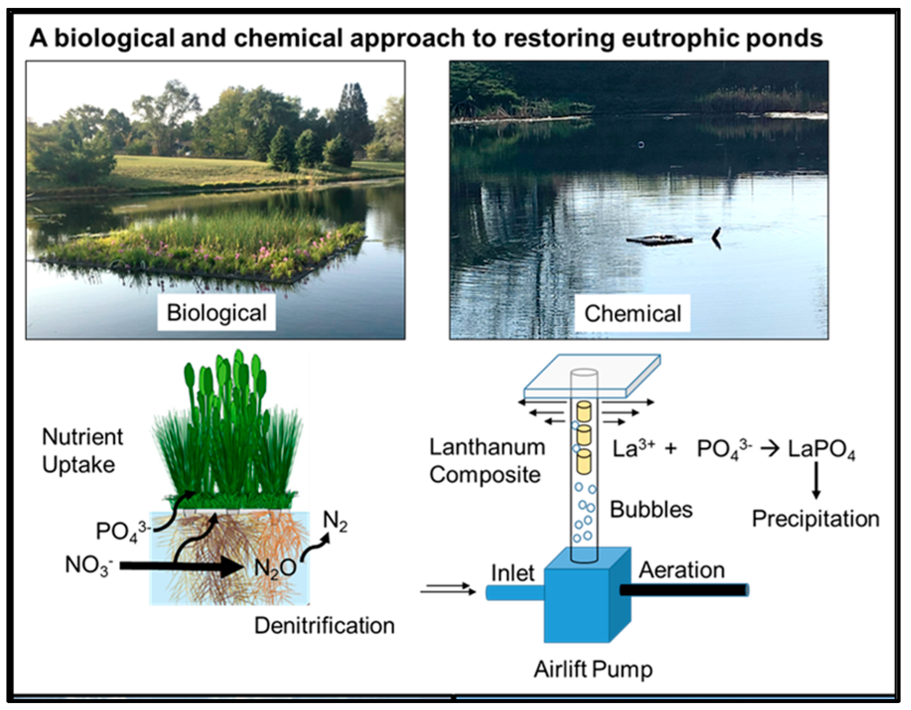 Nitrogen 05 00053 g001