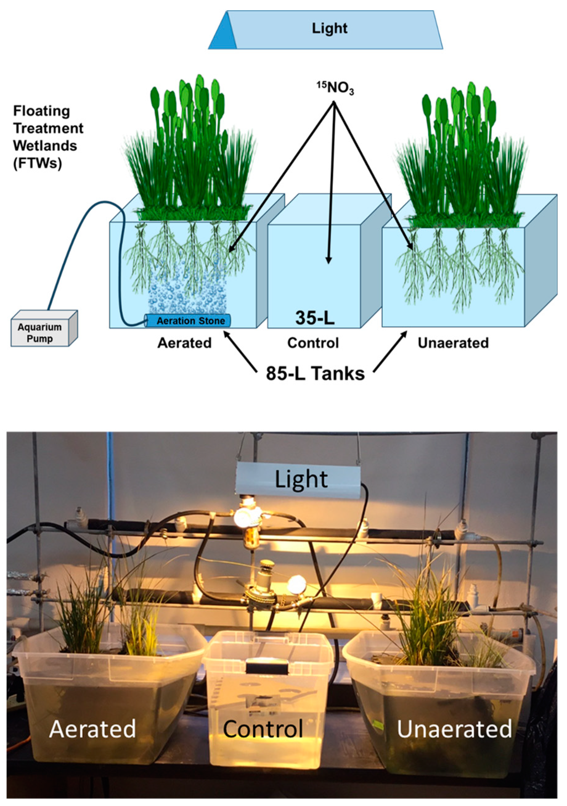 Nitrogen 05 00053 g003